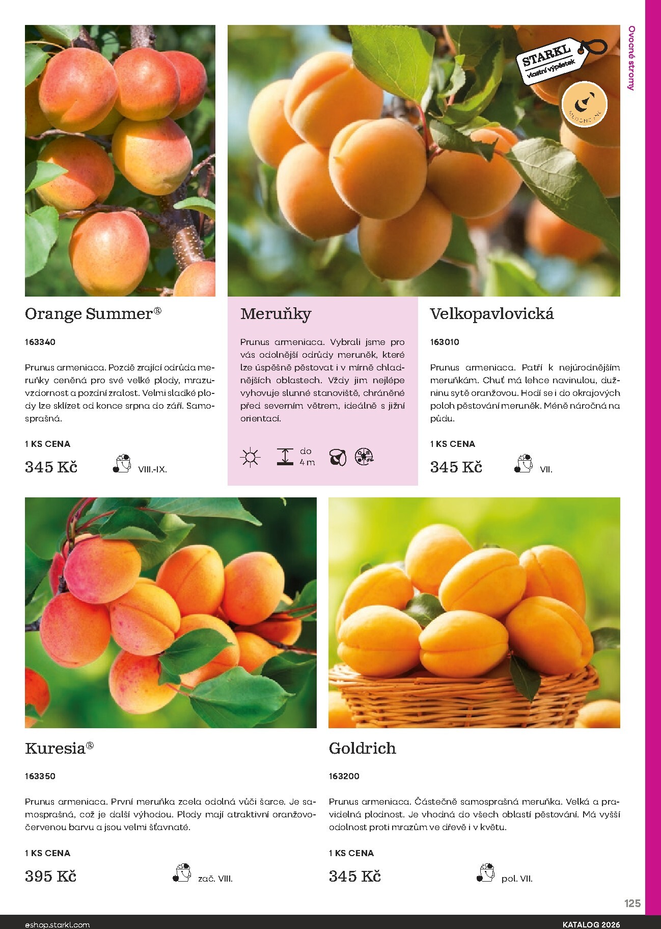 starkl - Starkl leták platný od neděle 01.03.2026 do čtvrtka 31.12.2026 - page: 125