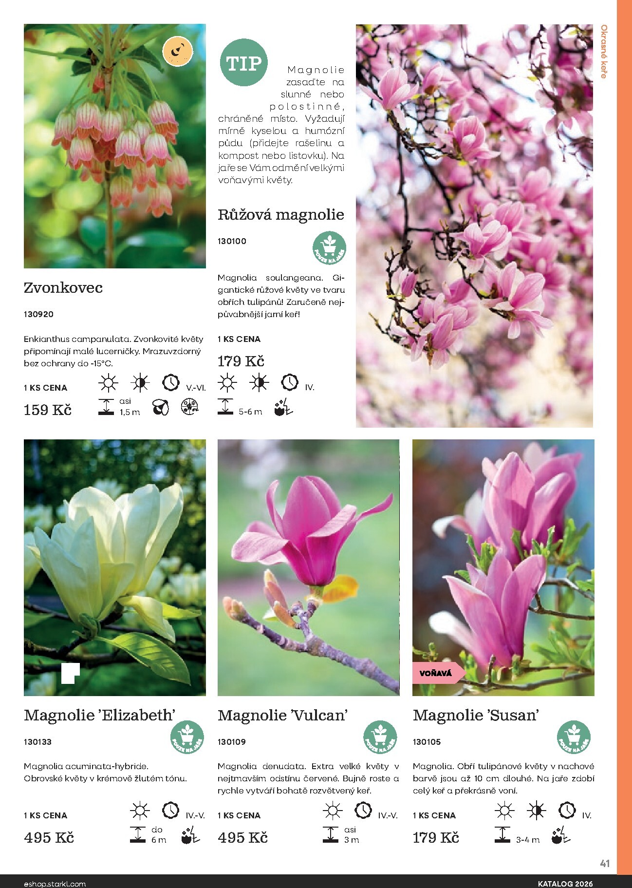 starkl - Starkl leták platný od neděle 01.03.2026 do čtvrtka 31.12.2026 - page: 41