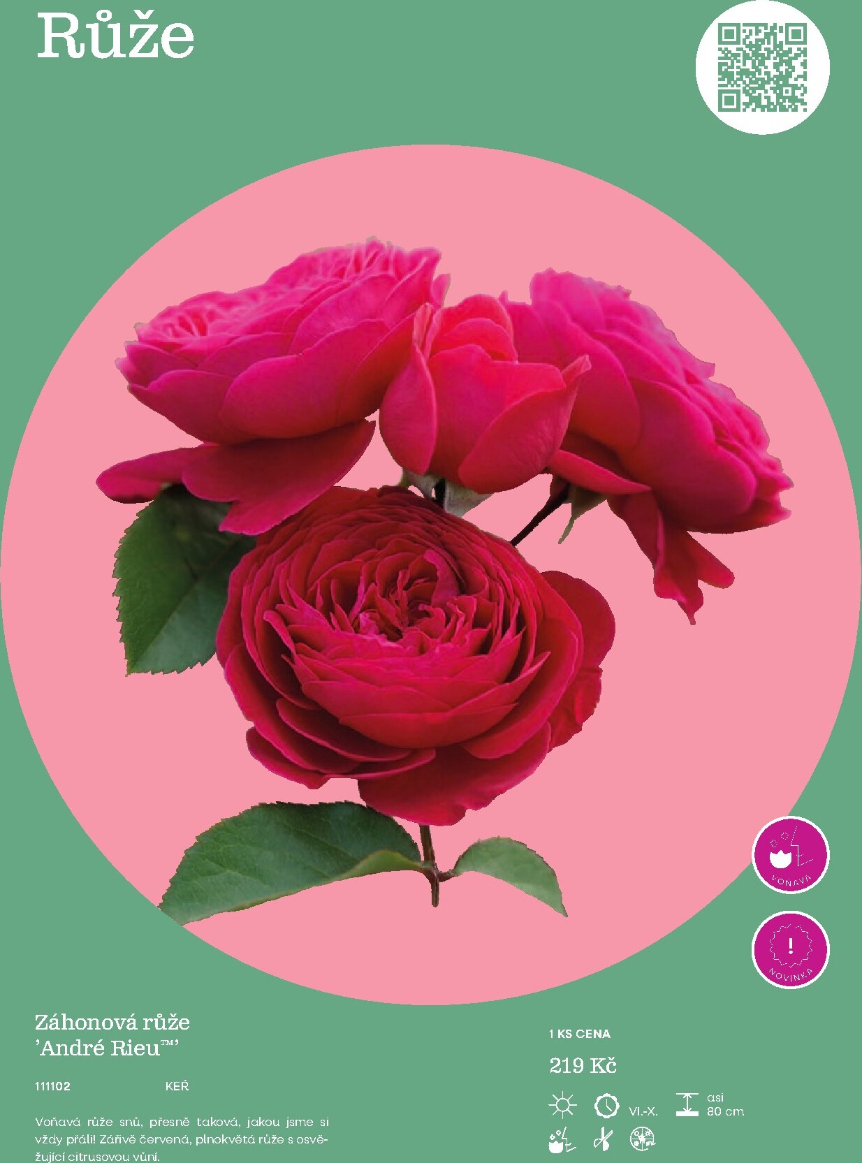 starkl - Starkl leták platný od neděle 01.03.2026 do čtvrtka 31.12.2026 - page: 95