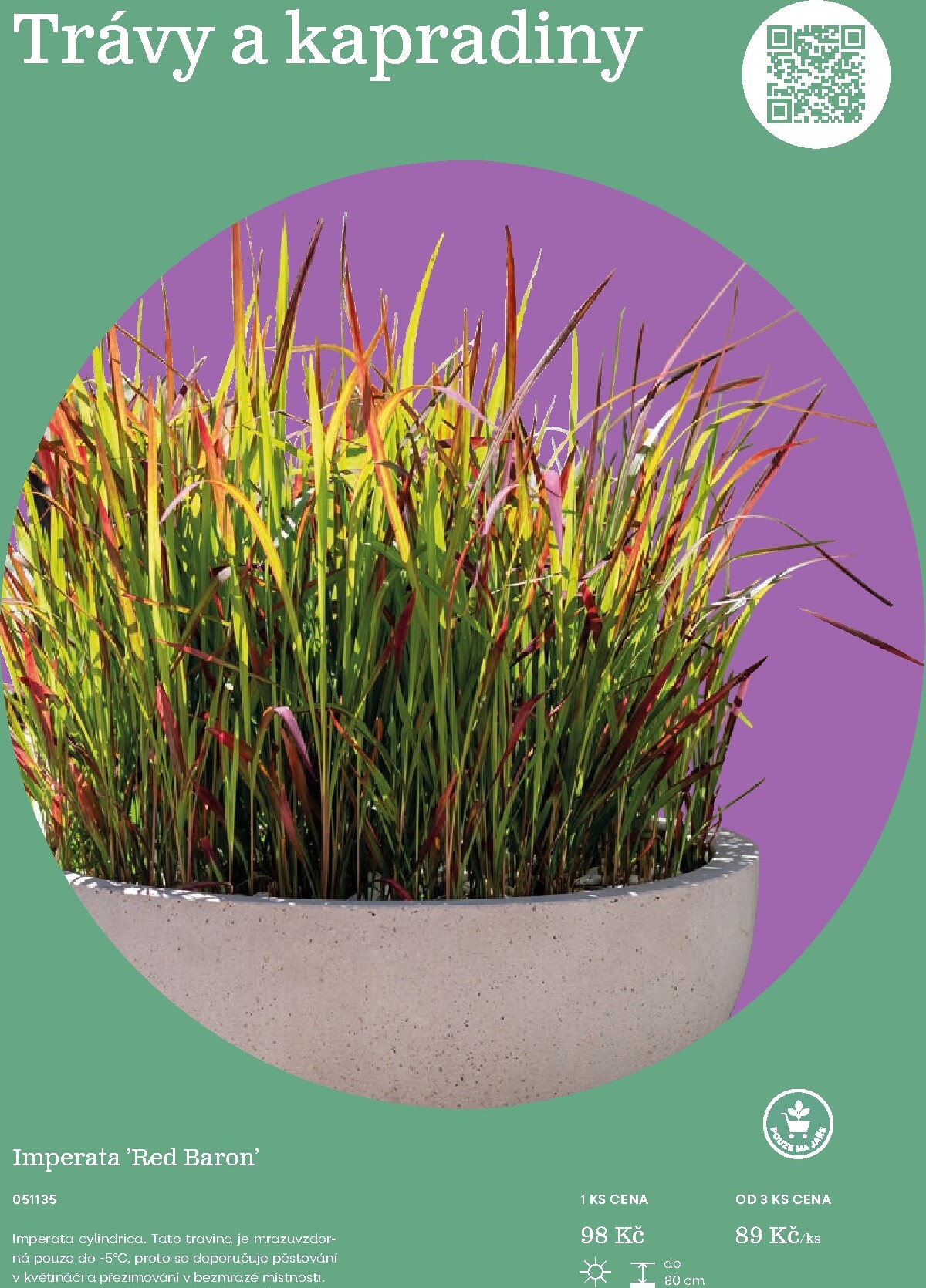 starkl - Starkl leták platný od neděle 01.03.2026 do čtvrtka 31.12.2026 - page: 75