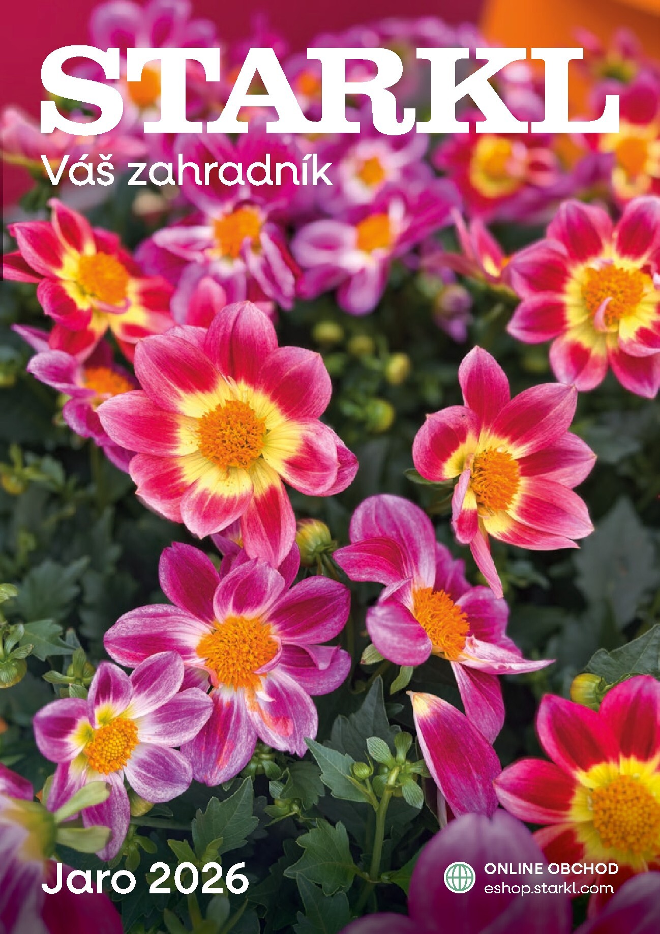 starkl - Starkl - Jaro leták platný od neděle 01.03.2026 do úterý 30.06.2026 - page: 1
