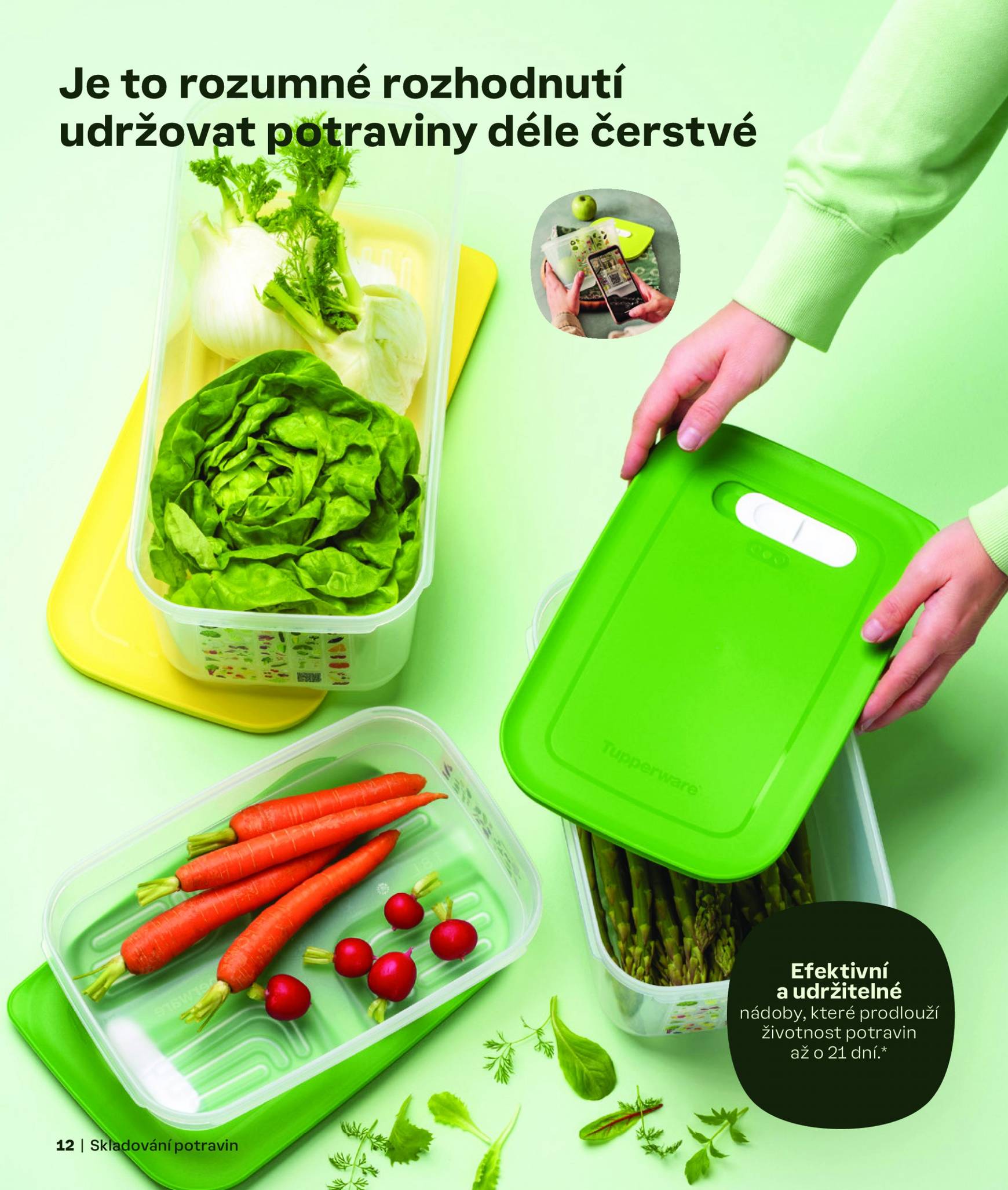 tupperware - Leták Tupperware - Podzim & zima od 02.09. do 31.12. - page: 12