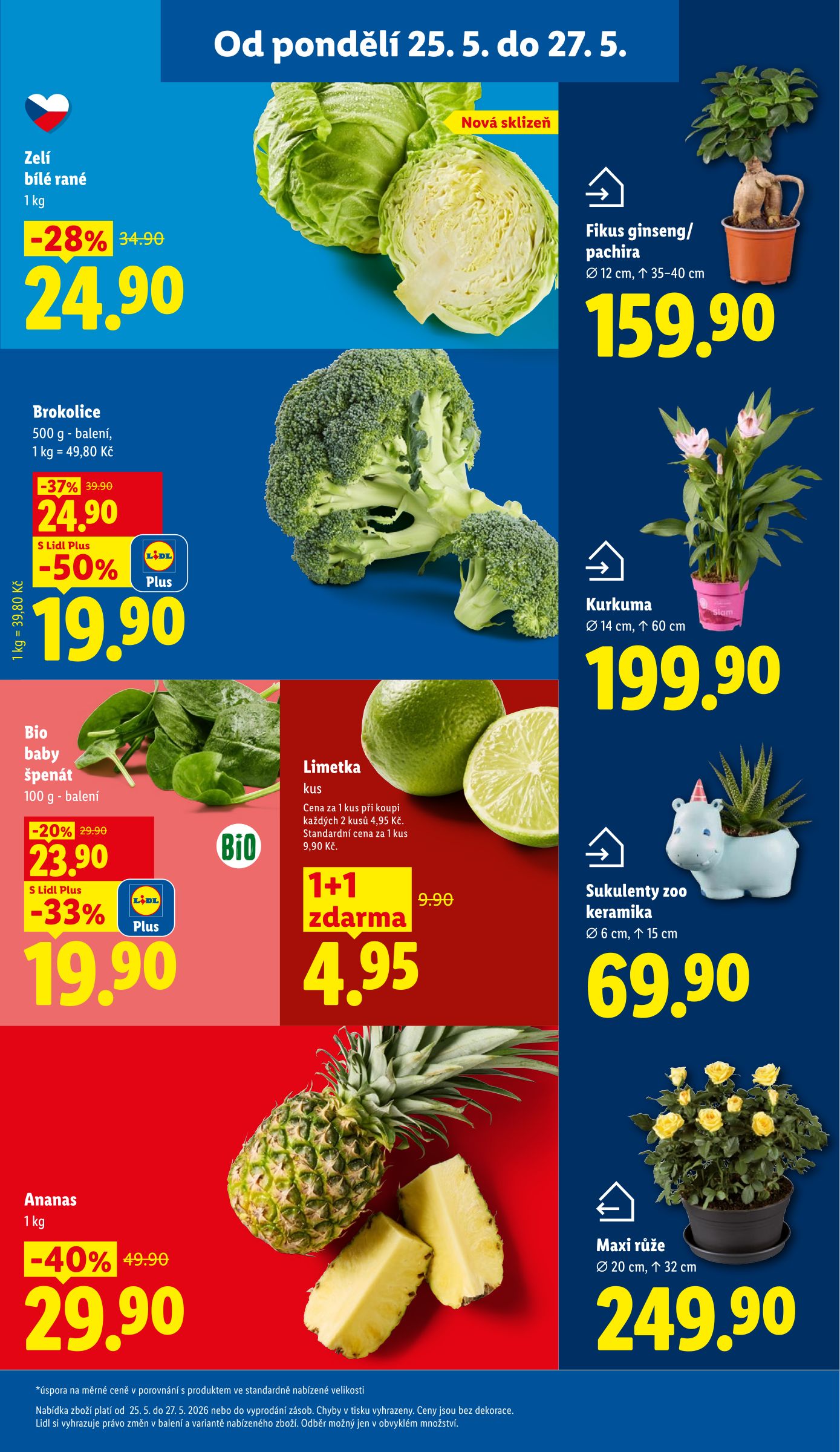lidl - Lidl leták na příští týden od pondělí 25.05.2026 do středy 27.05.2026 - page: 11