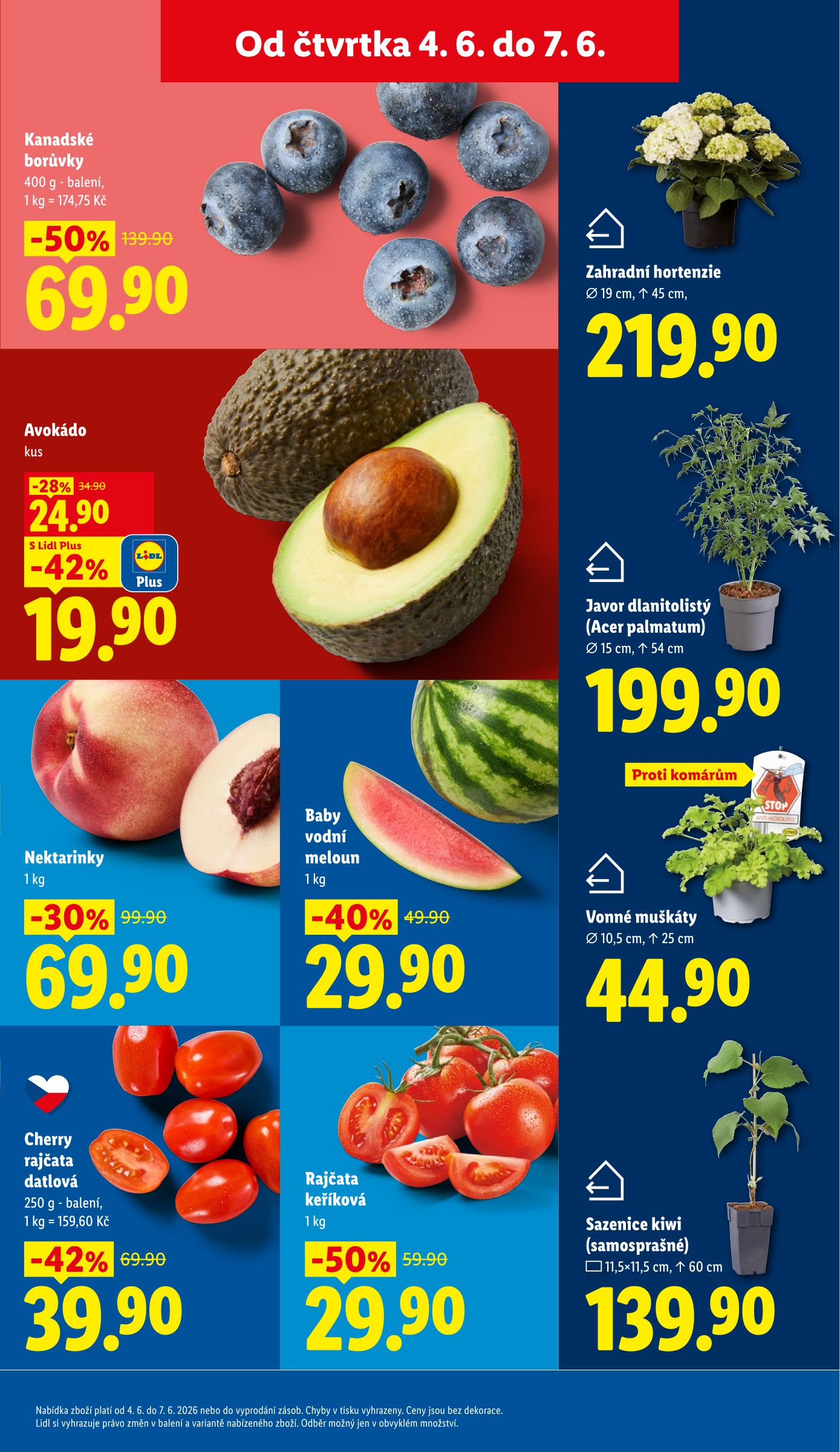 lidl - Lidl leták na příští týden od čtvrtka 04.06.2026 do neděle 07.06.2026 - page: 11