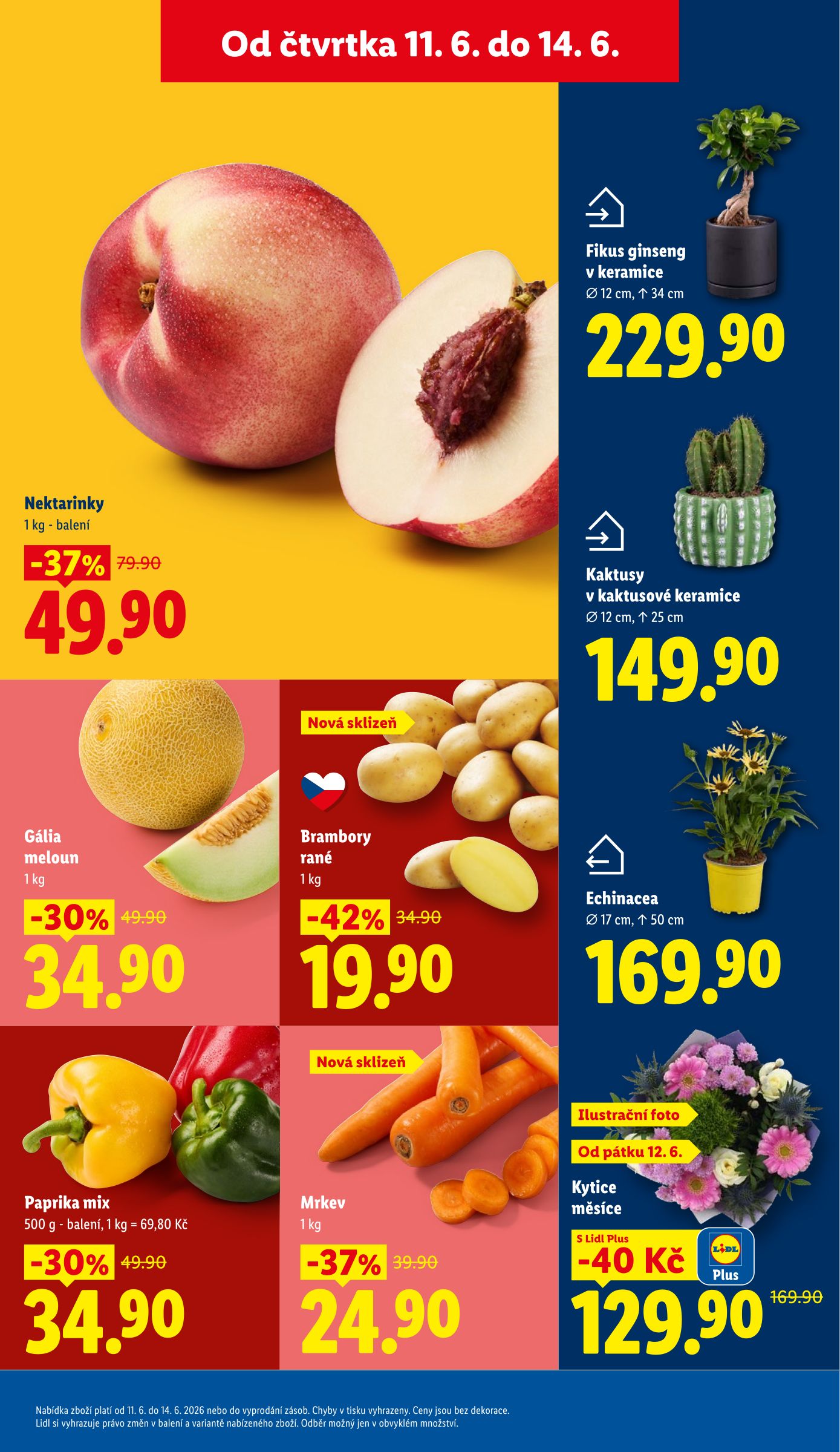 lidl - Lidl leták na příští týden od čtvrtka 11.06.2026 do neděle 14.06.2026 - page: 13
