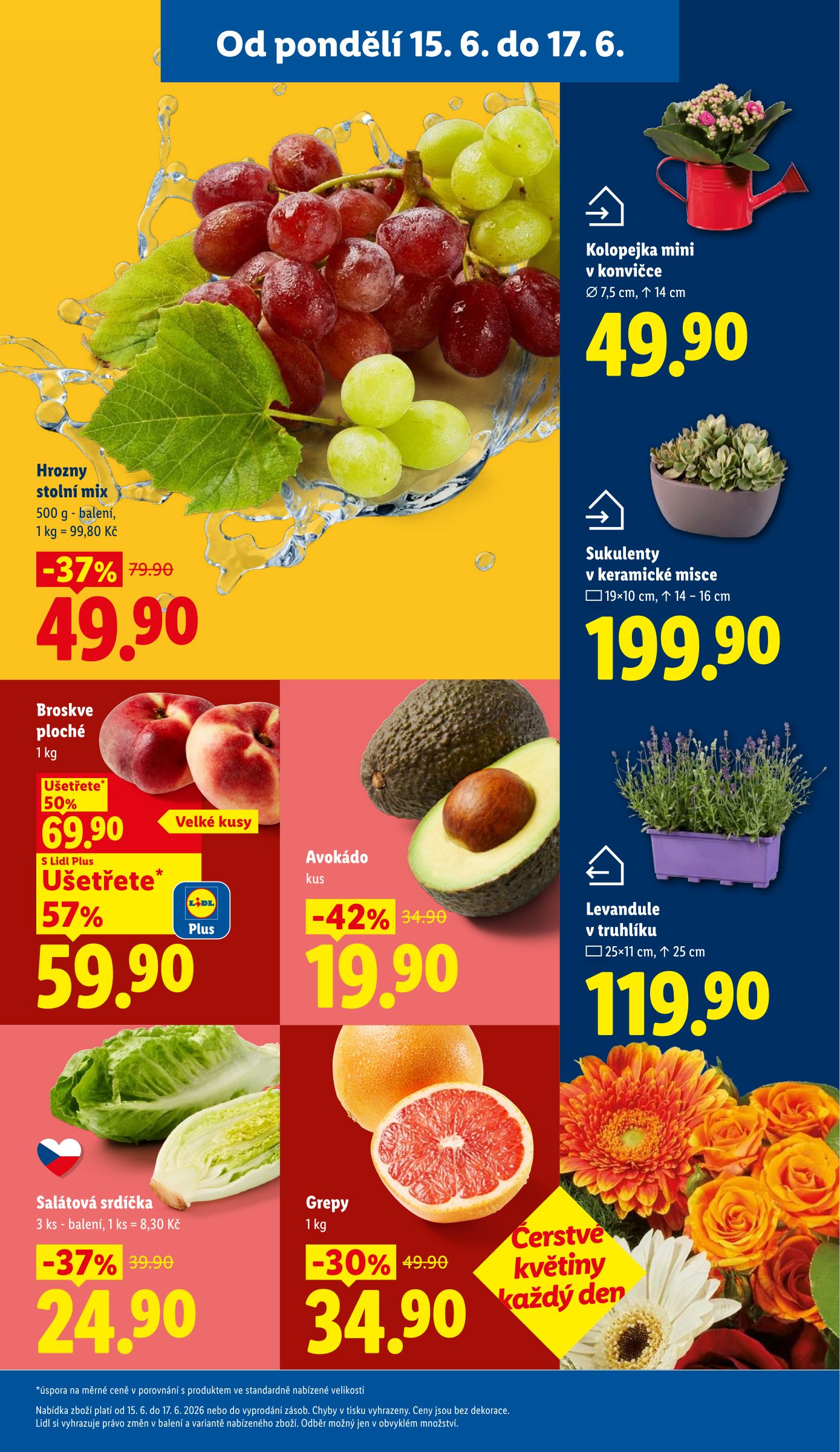 lidl - Lidl leták na příští týden od pondělí 15.06.2026 do středy 17.06.2026 - page: 11