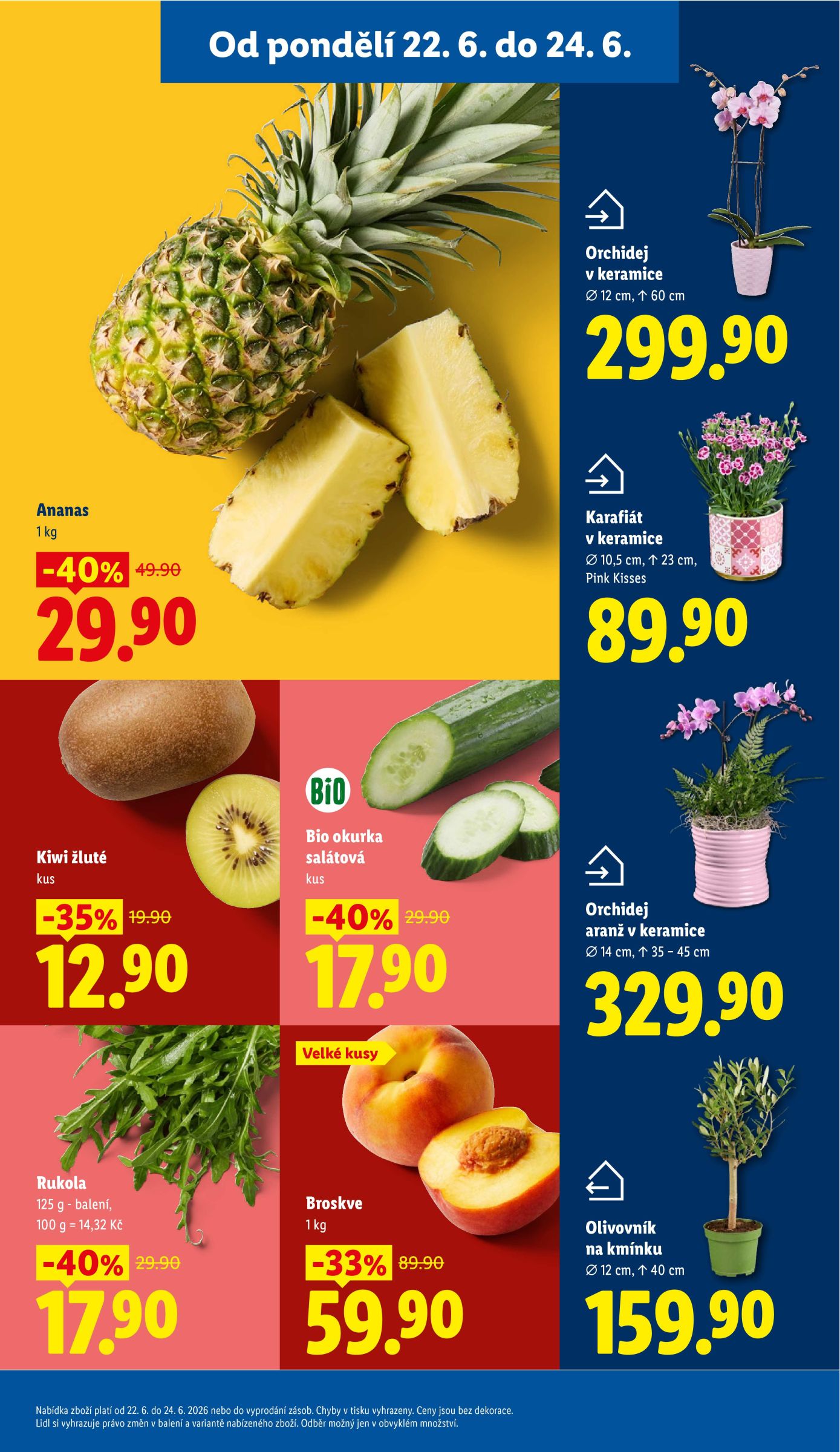 lidl - Lidl leták na příští týden od pondělí 22.06.2026 do neděle 28.06.2026 - page: 9