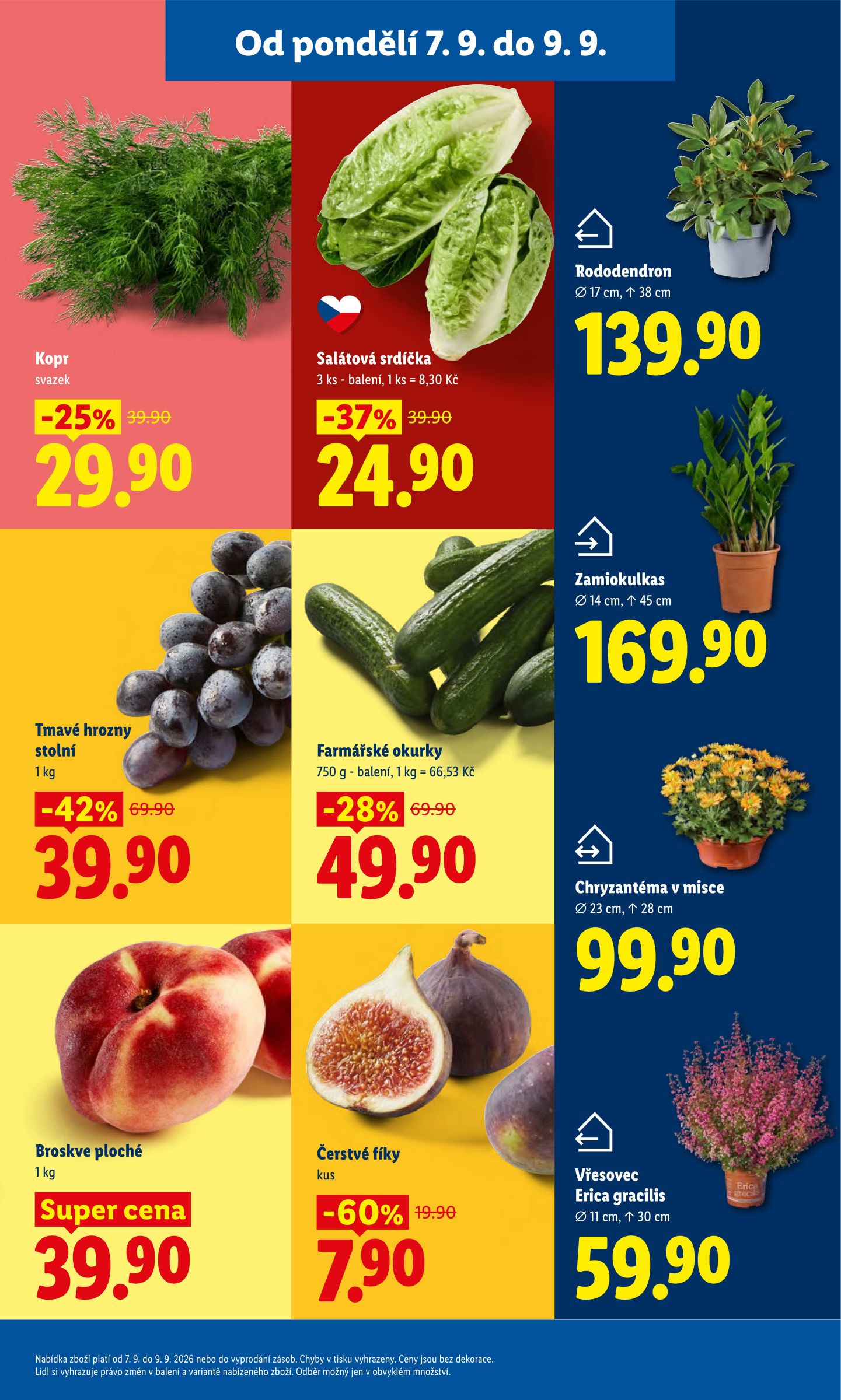 lidl - Lidl leták na příští týden od pondělí 07.09.2026 do středy 09.09.2026 - page: 15