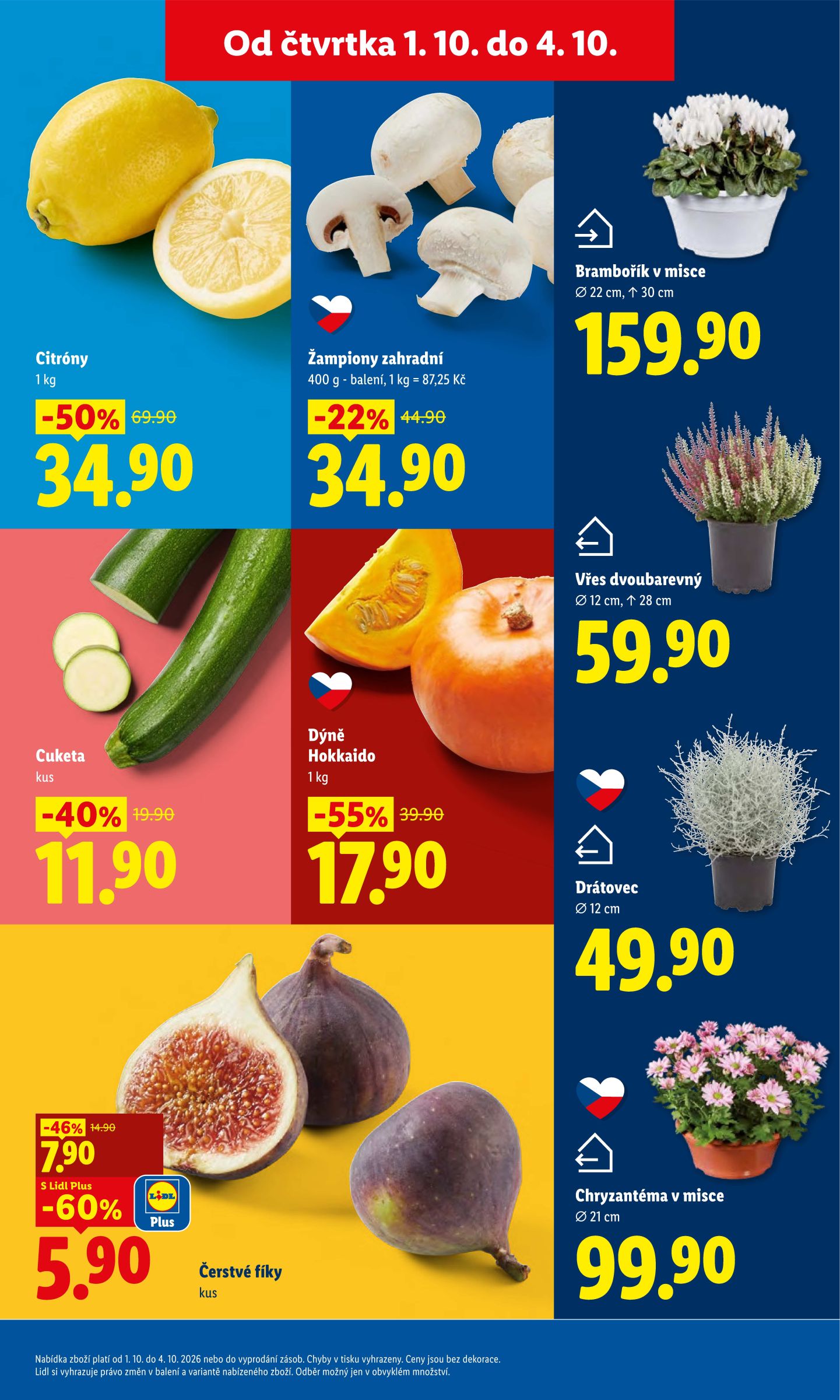 lidl - Lidl leták na příští týden od čtvrtka 01.10.2026 do neděle 04.10.2026 - page: 13