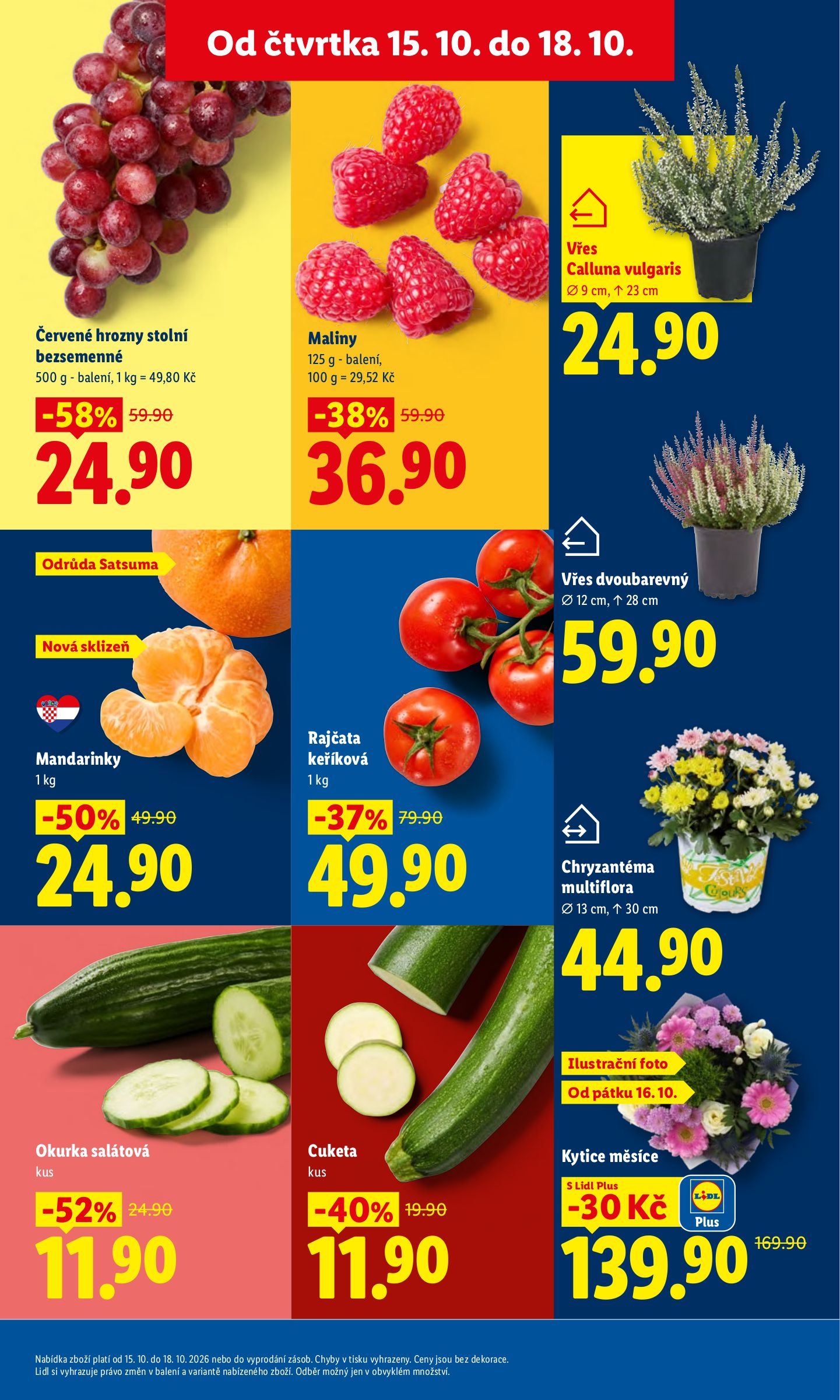 lidl - Aktuální Lidl leták platný od čtvrtka 15.10.2026 do neděle 18.10.2026 - page: 13
