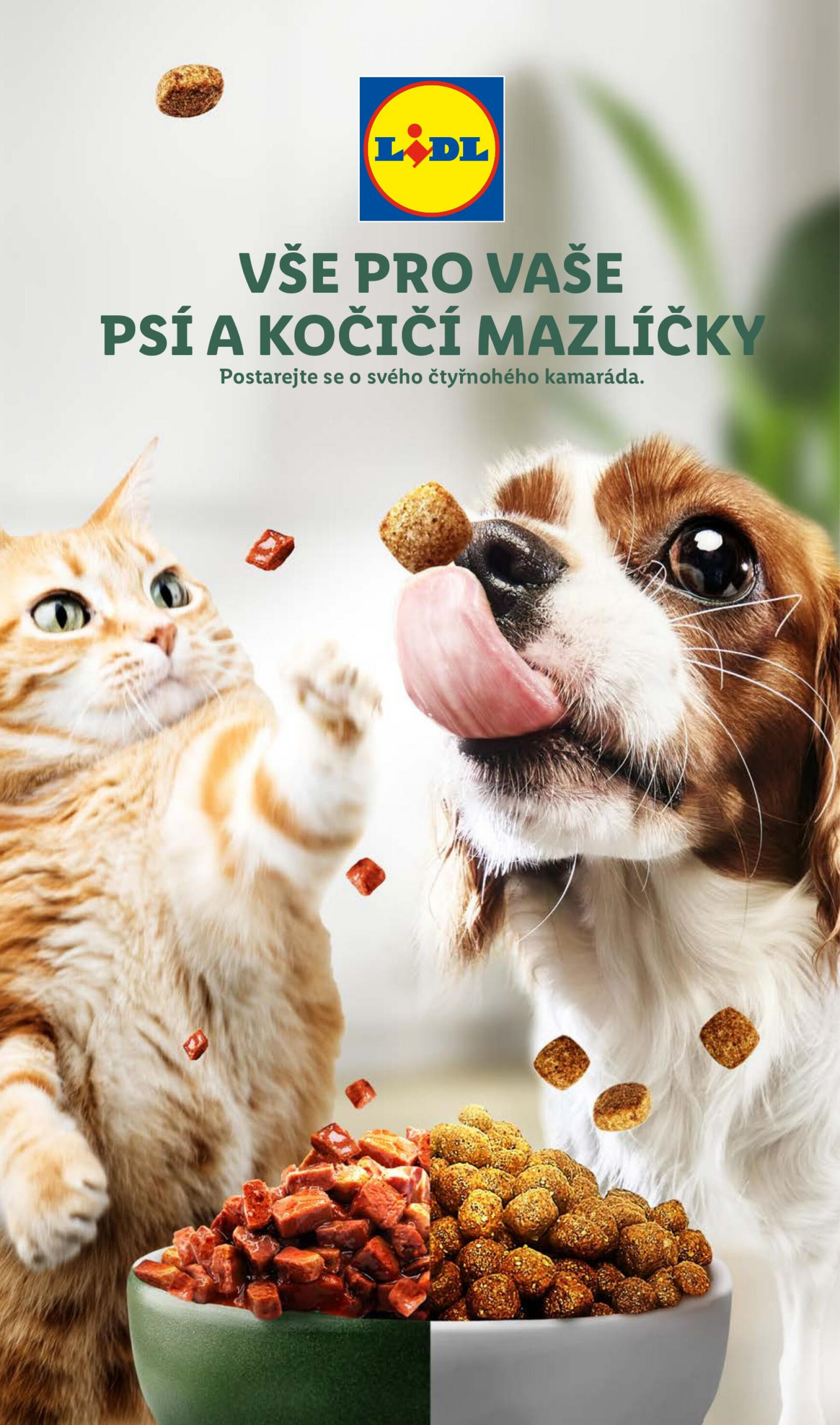 lidl - Leták Lidl - Vše pro vaše psí a kočičí mazlíčky aktuální 23.05. - 26.05.