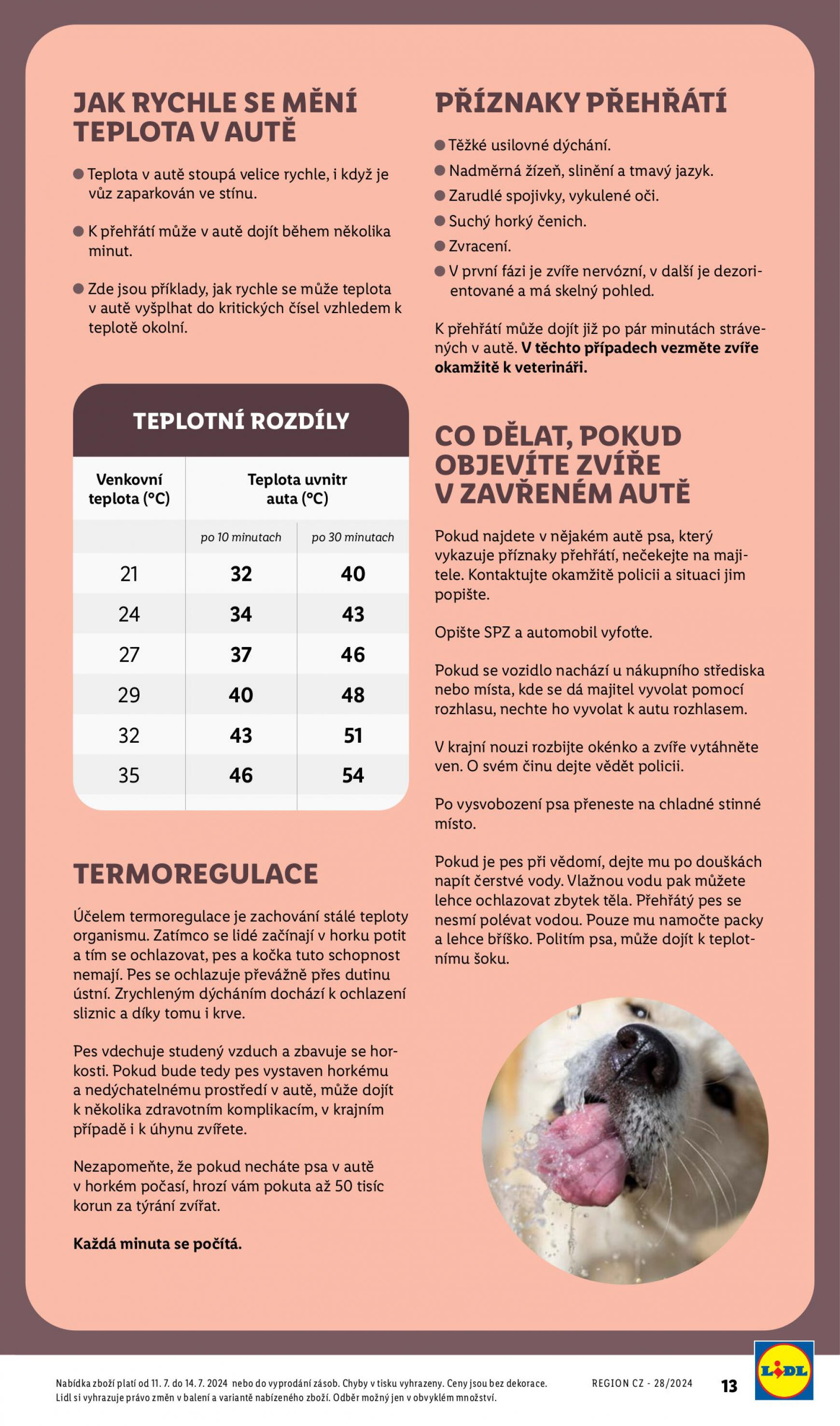 lidl - Leták Lidl - Vše pro vaše psí a kočičí mazlíčky aktuální 01.07. - 31.07. - page: 13