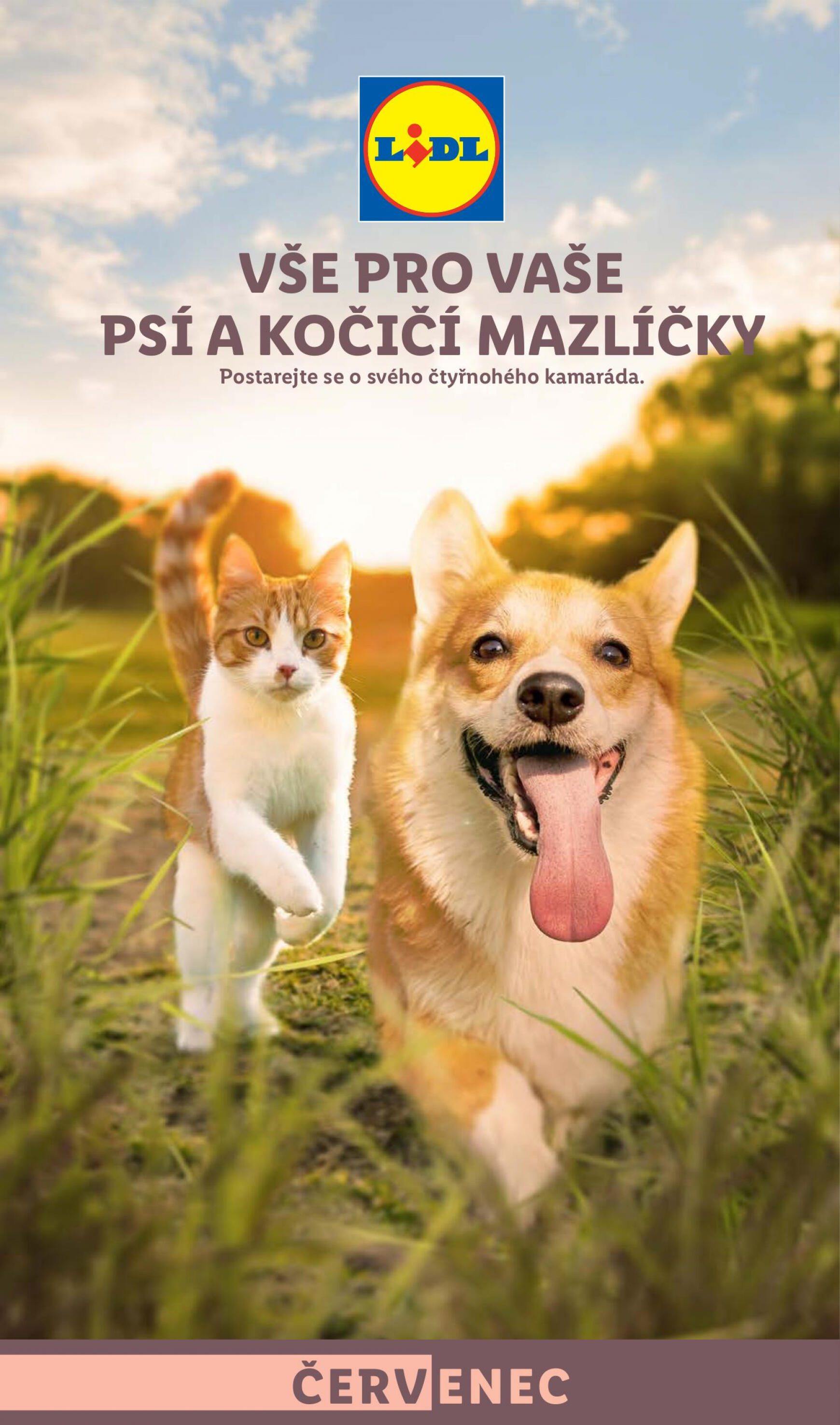 lidl - Leták Lidl - Vše pro vaše psí a kočičí mazlíčky aktuální 01.07. - 31.07.