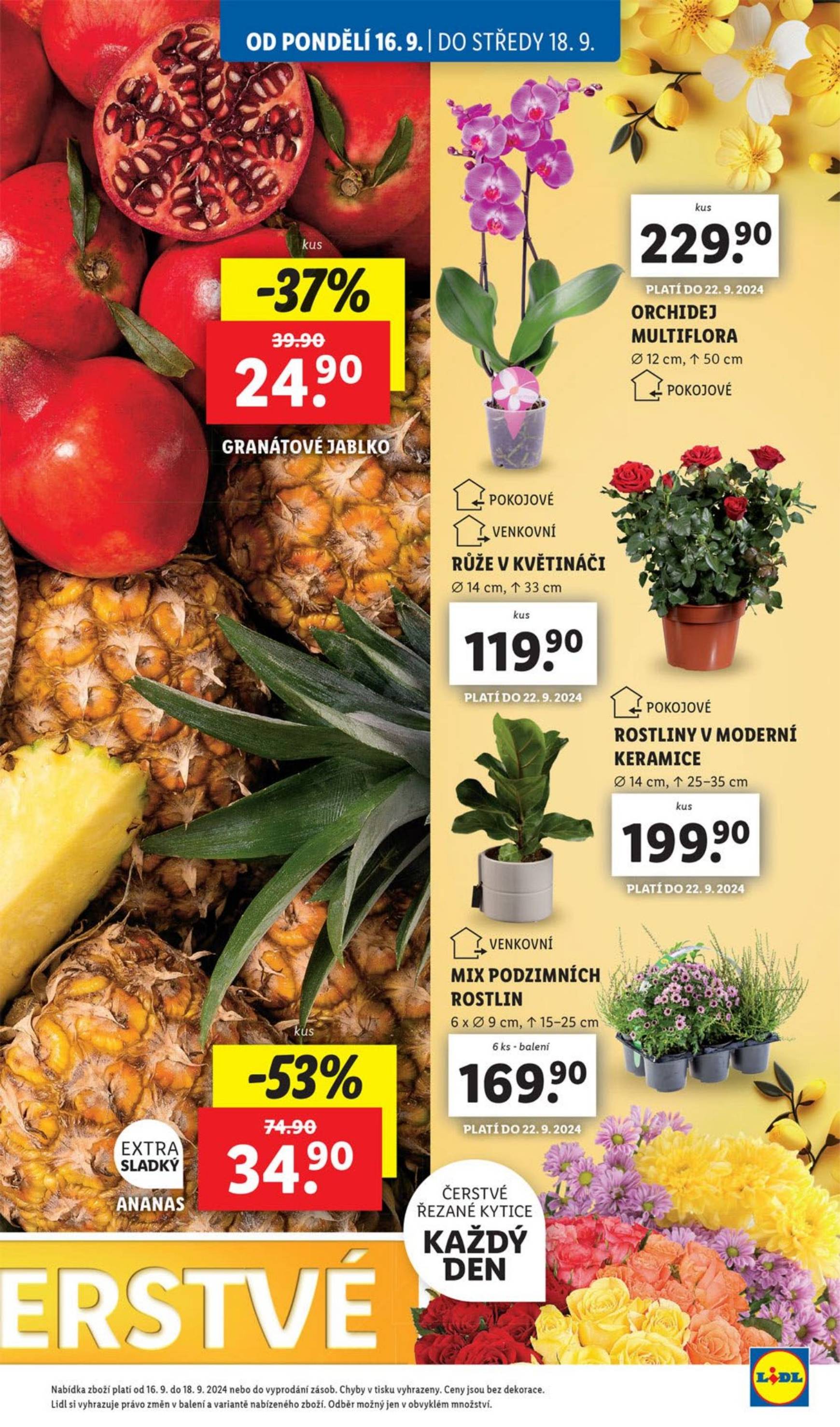 lidl - Leták Lidl od 16.09. do 22.09. - page: 11