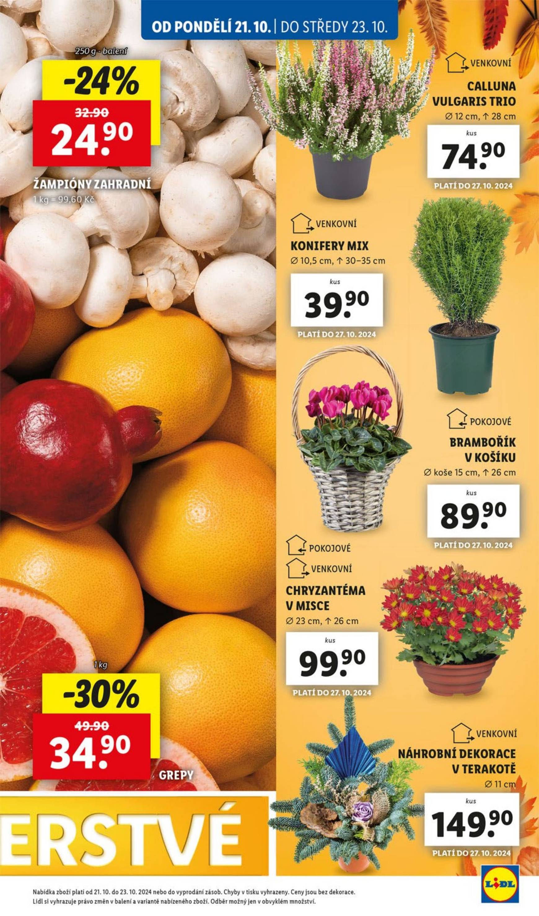 lidl - Leták Lidl od 21.10. do 27.10. - page: 13