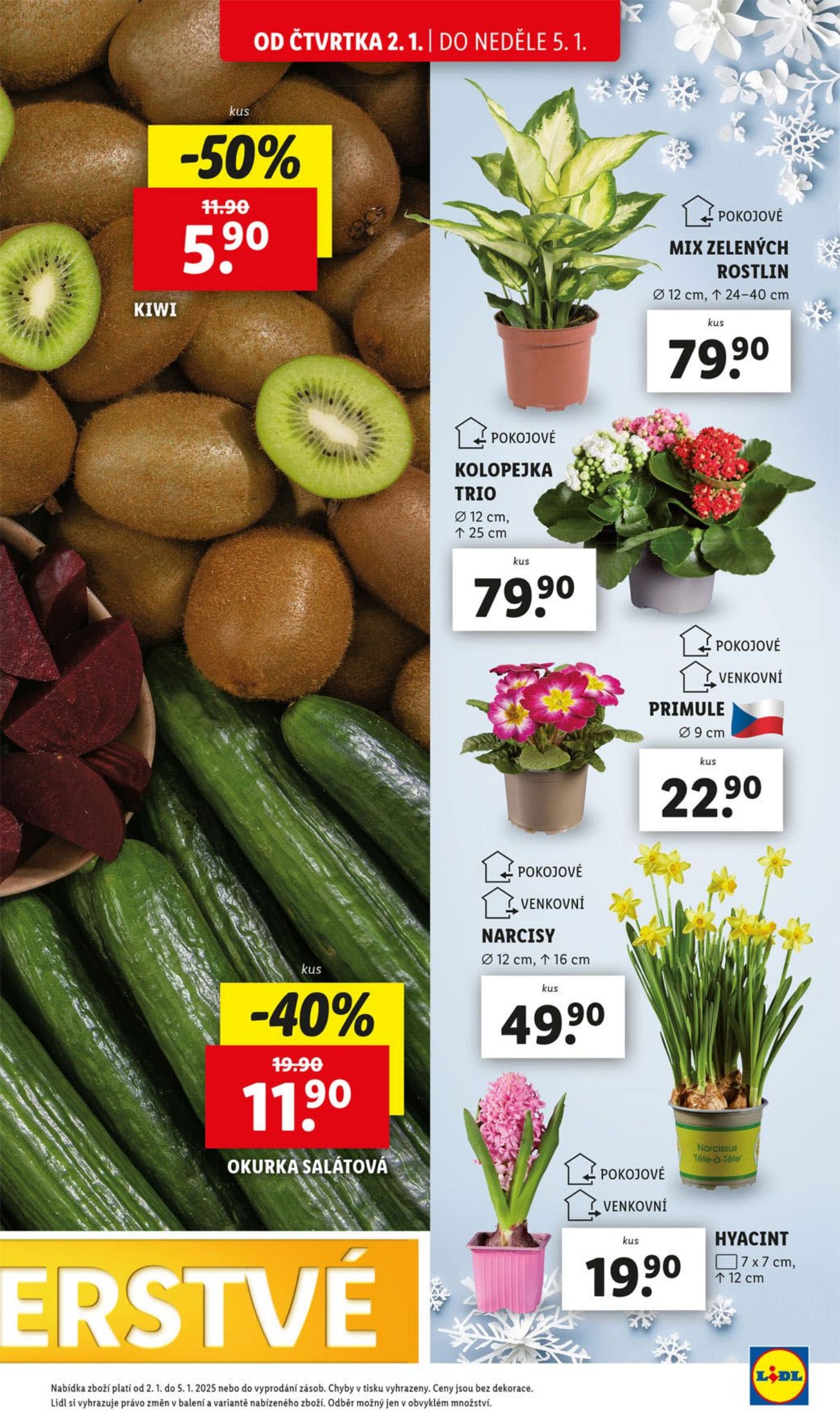 lidl - Leták Lidl od 02.01. do 05.01. - page: 15