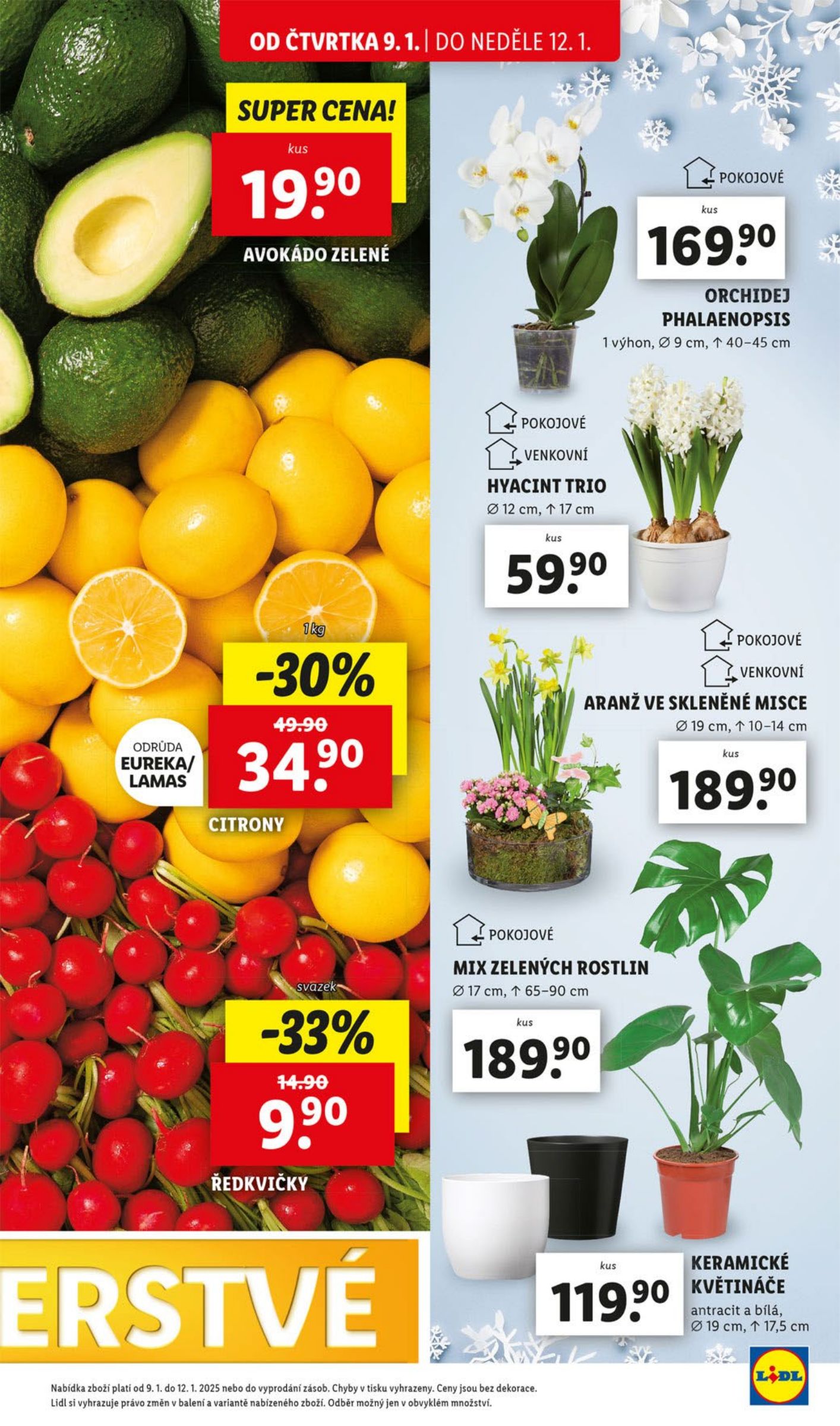 lidl - Leták Lidl od 09.01. do 12.01. - page: 13