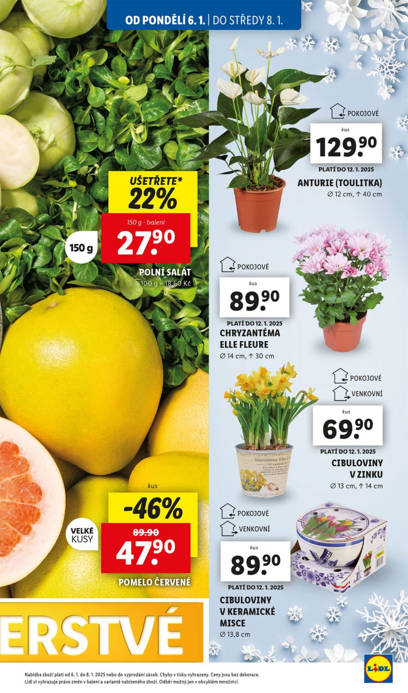 lidl - Leták Lidl od 06.01. do 12.01. - page: 13