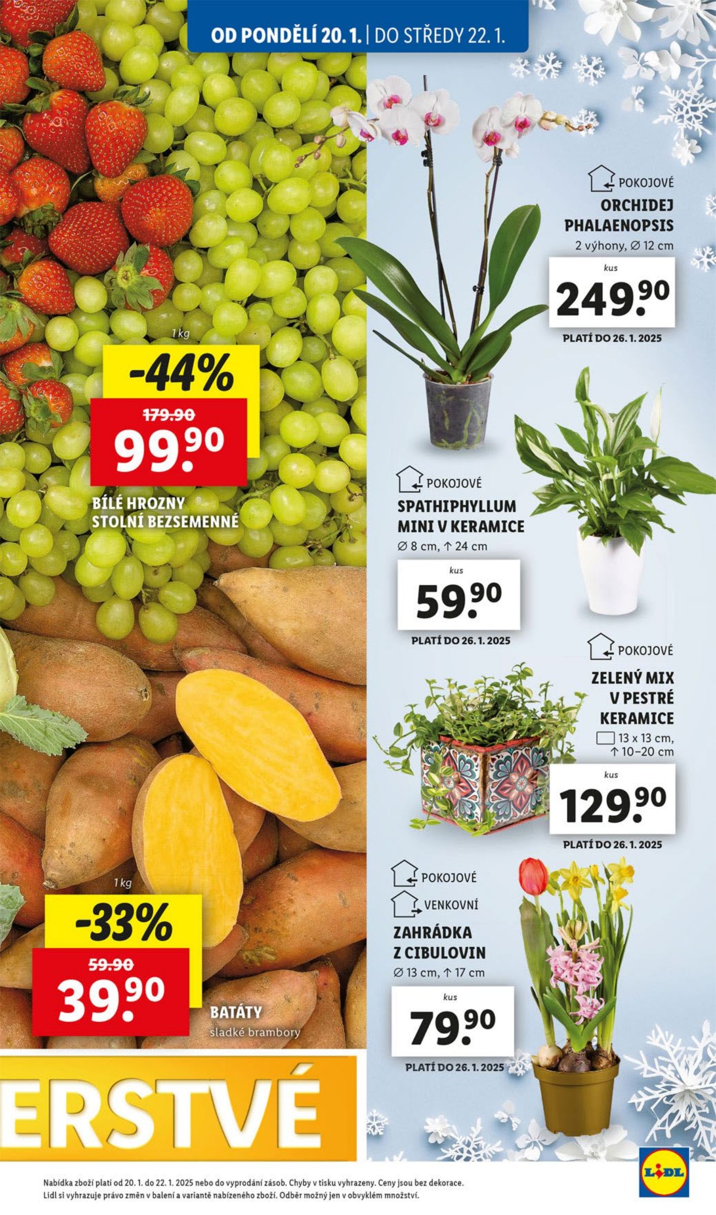 lidl - Leták Lidl od 20.01. do 26.01. - page: 15