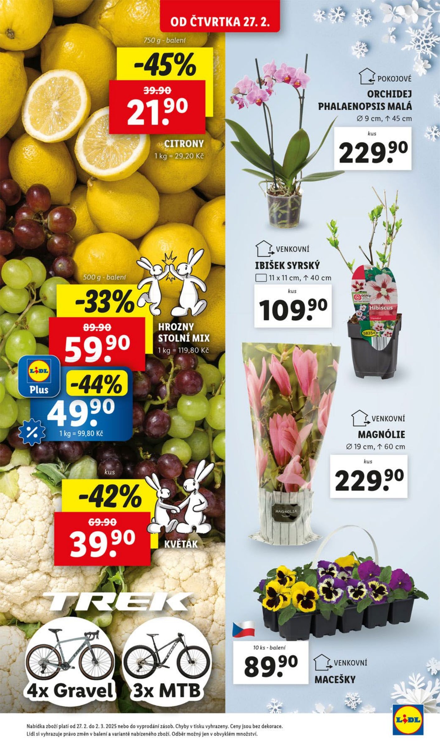 lidl - Leták Lidl - Od čtvrtka od 27.02. do 02.03. - page: 13