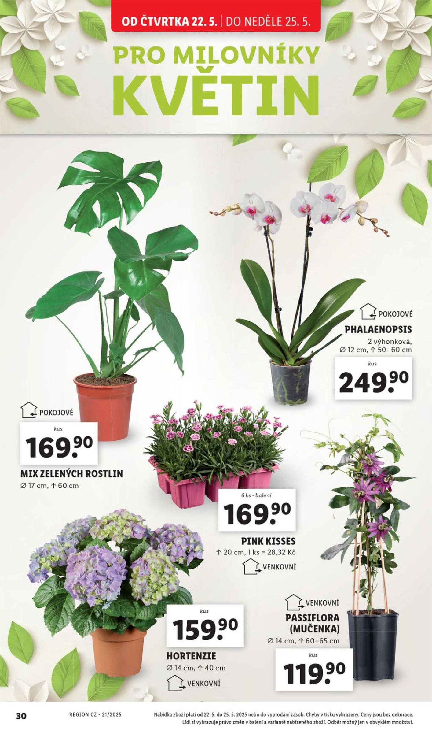 lidl - Leták Lidl od 22.05. do 25.05. - page: 30 lidl - Leták Lidl od 22.05. do 25.05. - page: 30