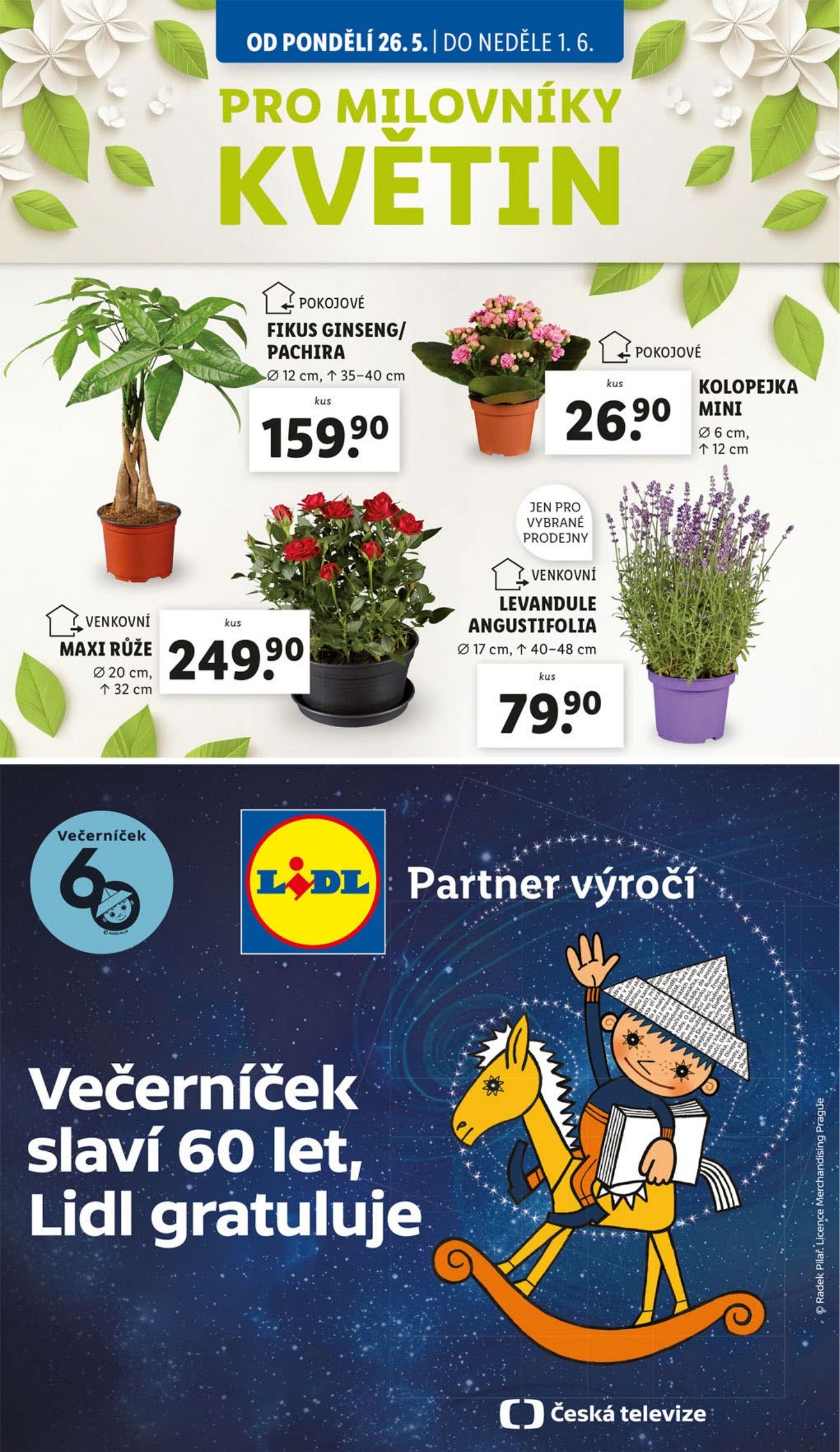 lidl - Leták Lidl od 26.05. do 28.05. - page: 35