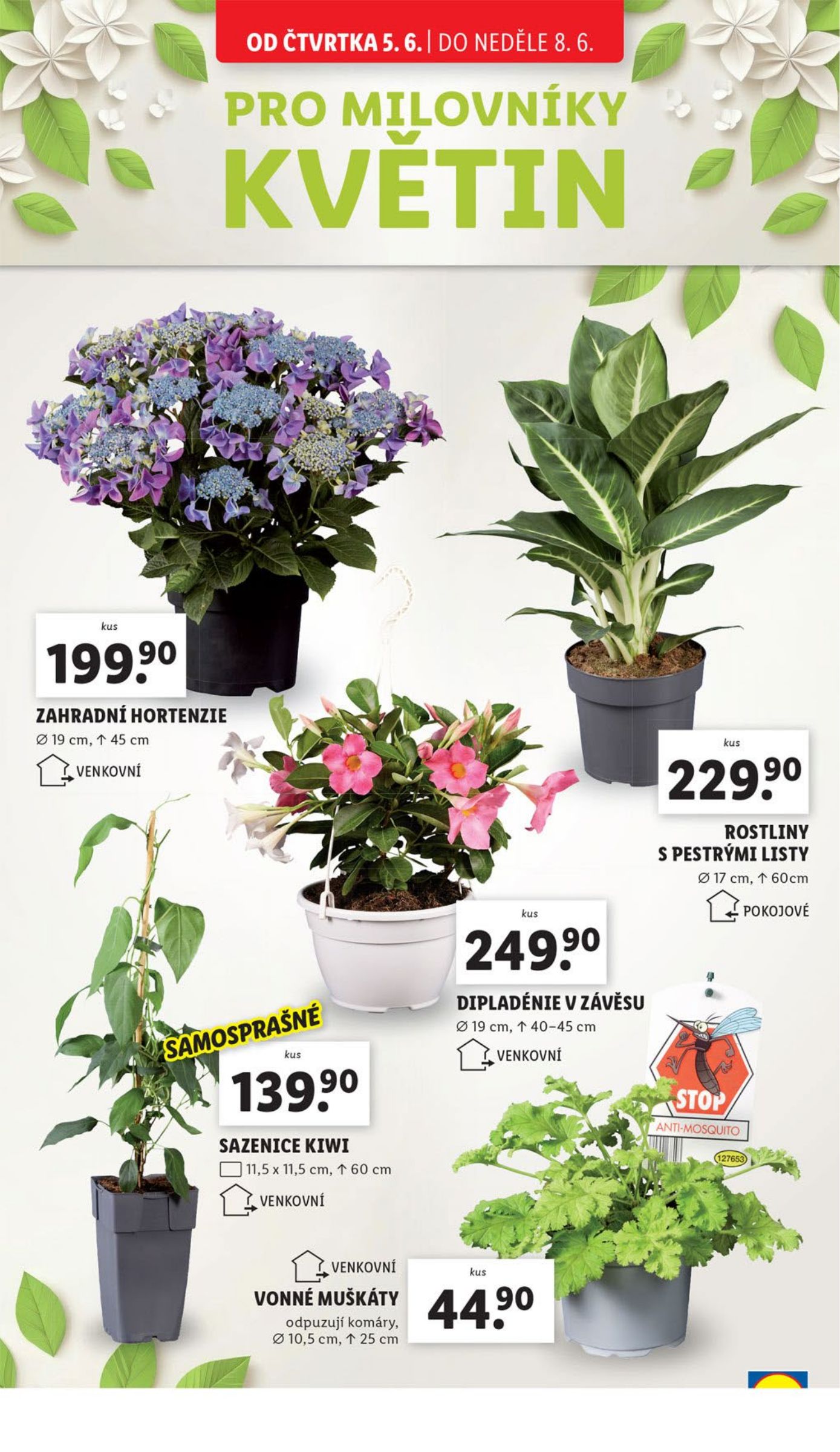 lidl - Leták Lidl od 05.06. do 08.06. - page: 30