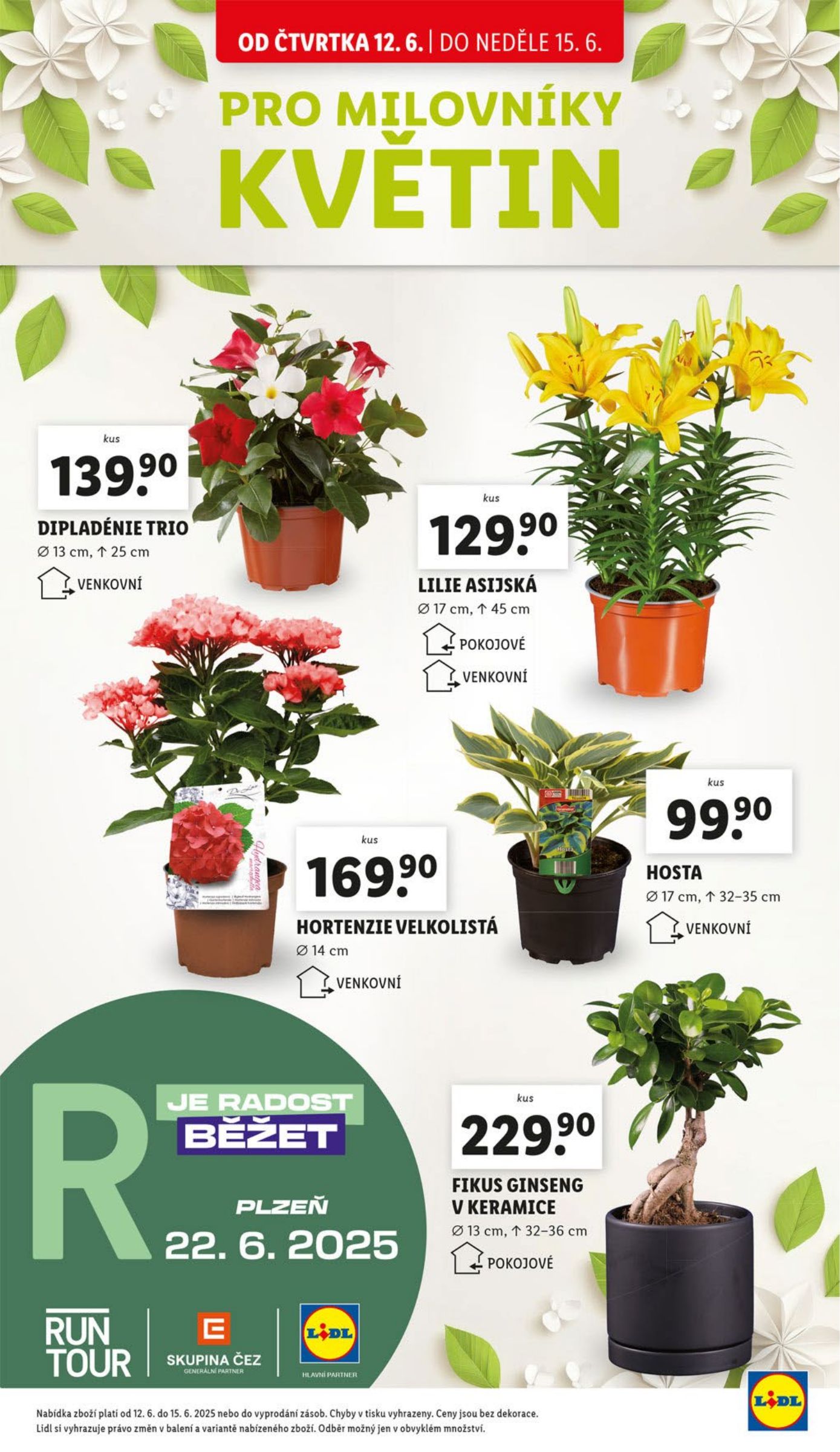 lidl - Leták Lidl od 12.06. do 15.06. - page: 43 lidl - Leták Lidl od 12.06. do 15.06. - page: 43