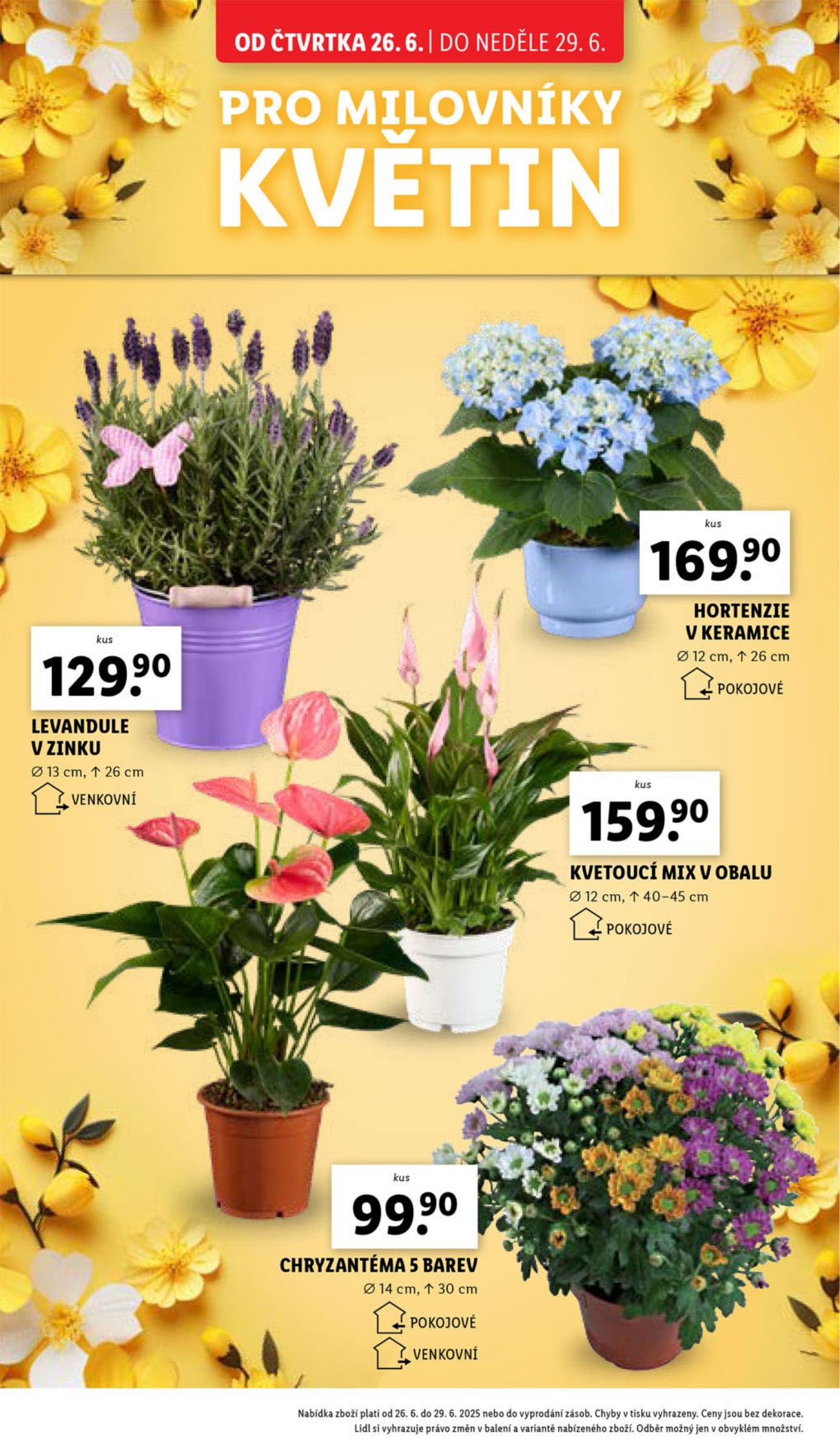 lidl - Leták Lidl od 26.06. do 29.06. - page: 30 lidl - Leták Lidl od 26.06. do 29.06. - page: 30