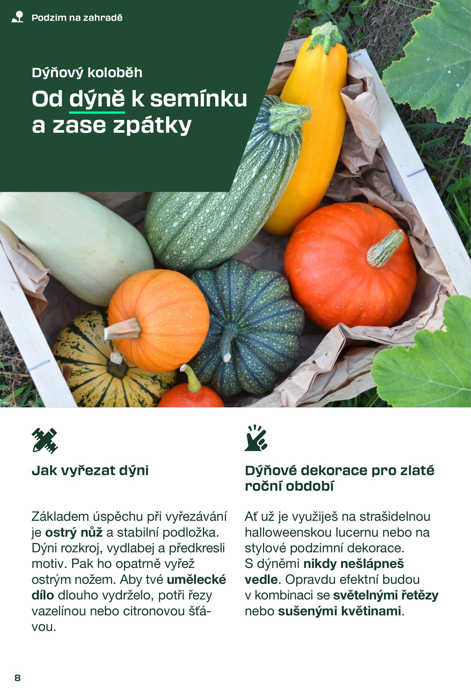 lidl - Leták Lidl - Magazín pro kutily od 31.08. do 30.11. - page: 8