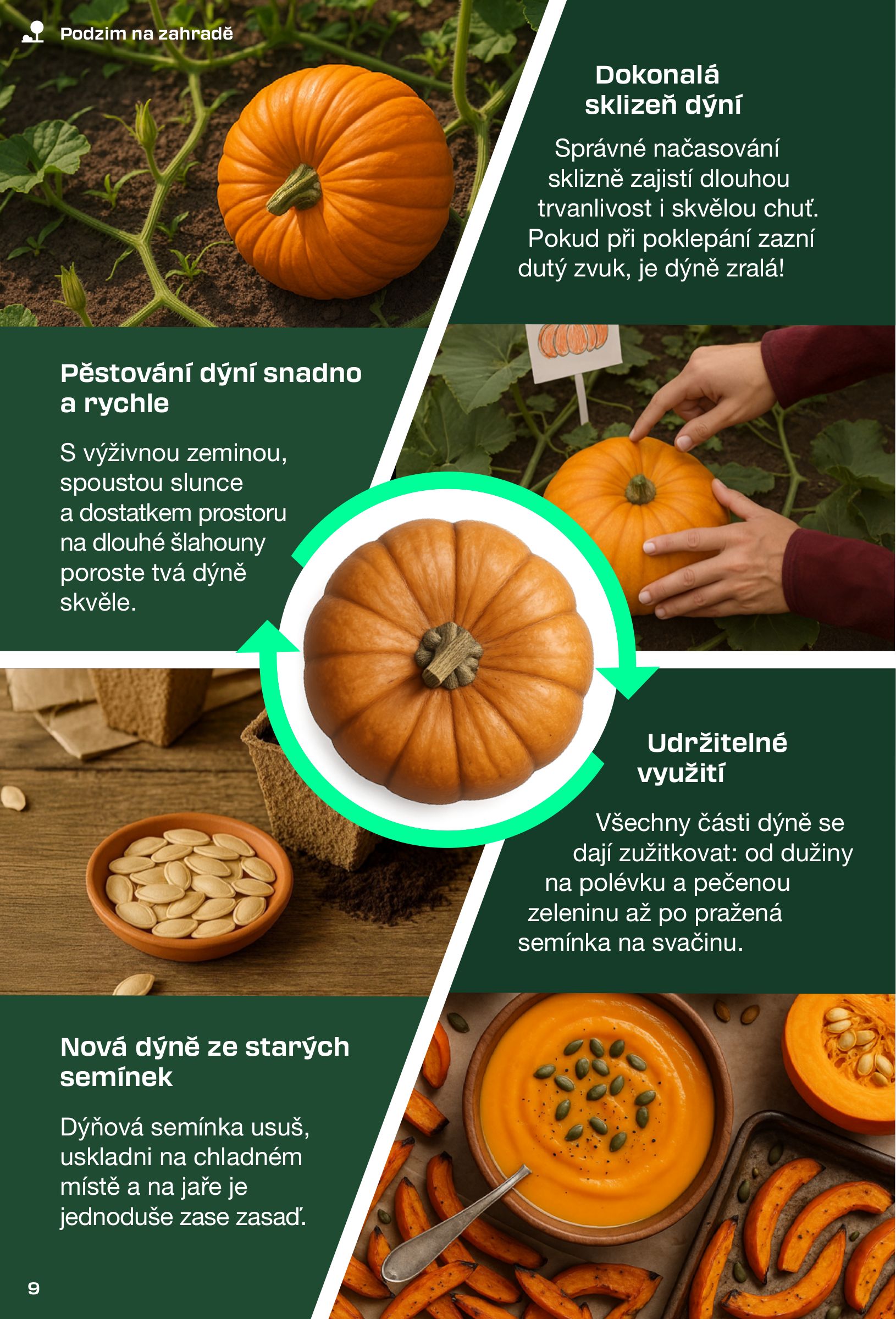 lidl - Leták Lidl - Magazín pro kutily od 31.08. do 30.11. - page: 9