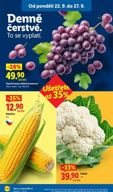 lidl - Leták Lidl od 22.09. do 24.09. - page: 10