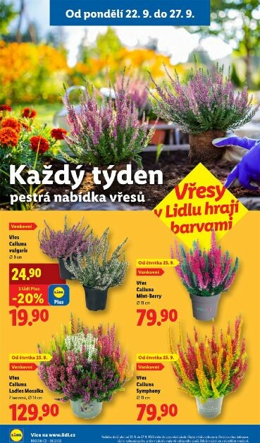 lidl - Leták Lidl od 22.09. do 24.09. - page: 29