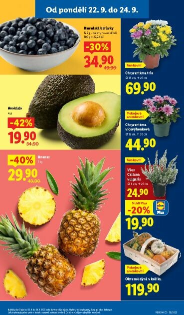 lidl - Leták Lidl od 22.09. do 24.09. - page: 9