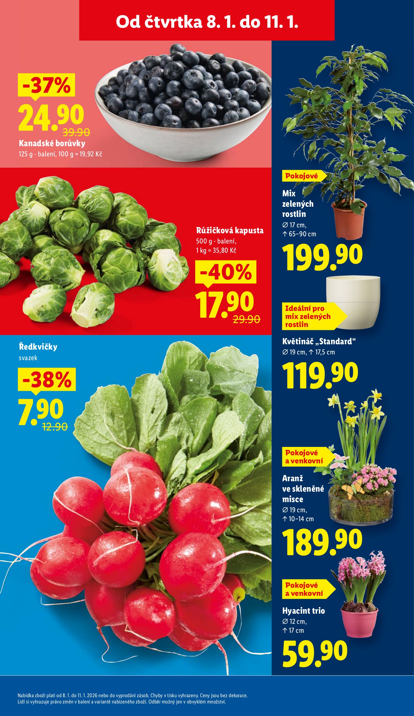 lidl - Aktuální leták Lidl od 08.01. do 11.01. - page: 9