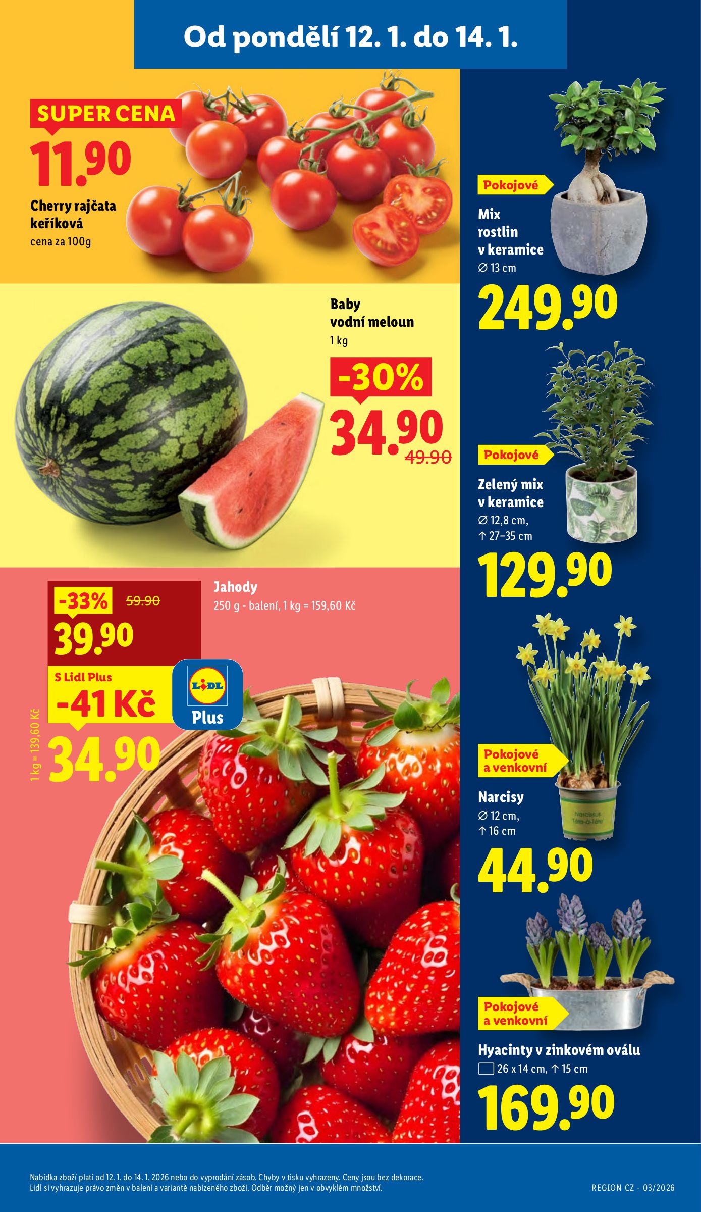 lidl - Aktuální leták Lidl od 12.01. do 14.01. - page: 11