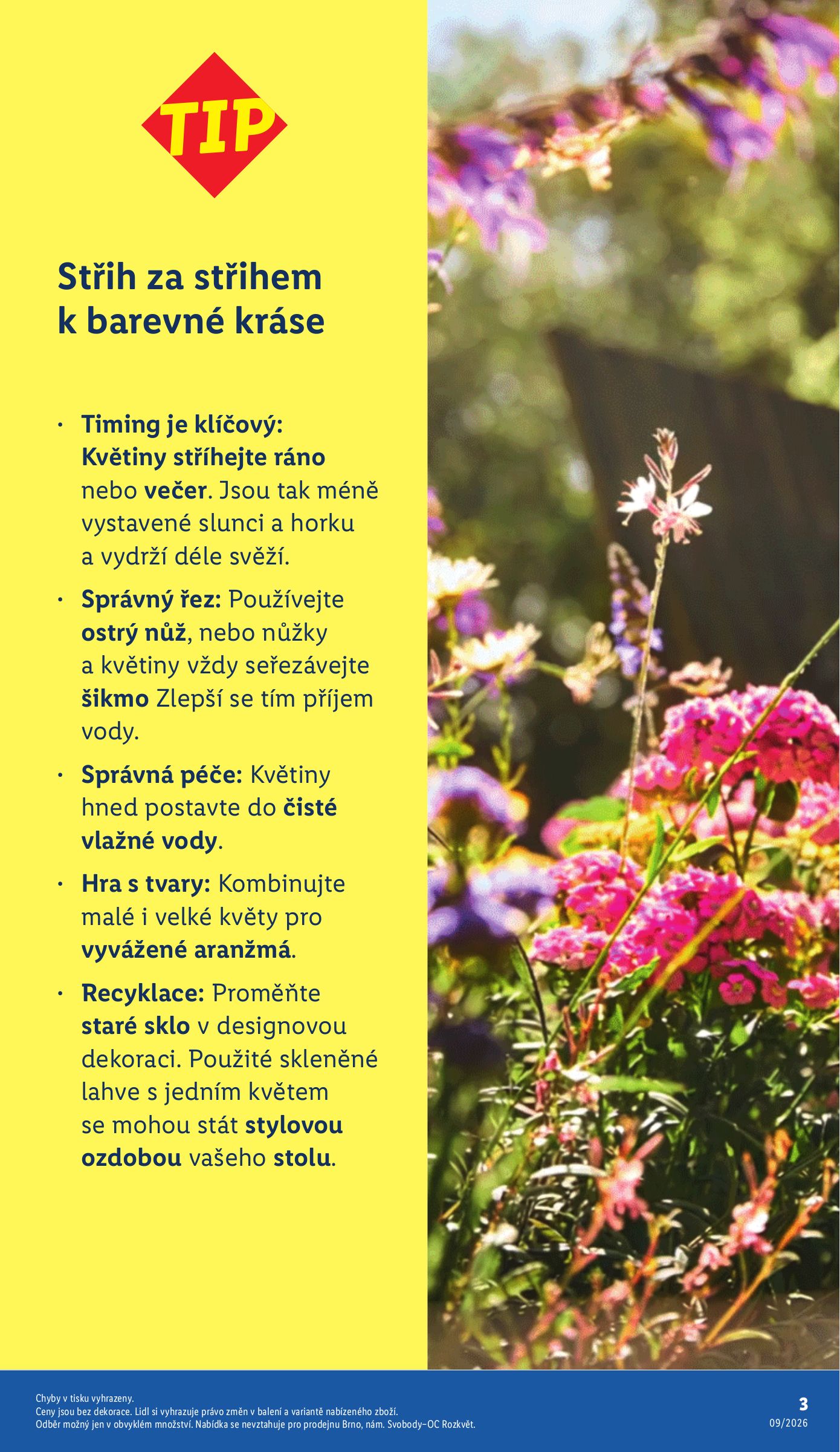 lidl - Lidl - Zahradní brožura leták platný od úterý 24.02.2026 do neděle 15.03.2026 - page: 3