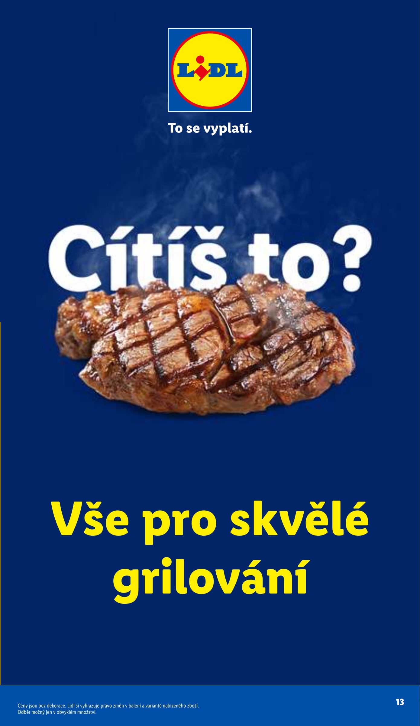 lidl - Aktuální Lidl - Grill & Fun leták platný od úterý 05.05.2026 do pondělí 31.08.2026 - page: 13