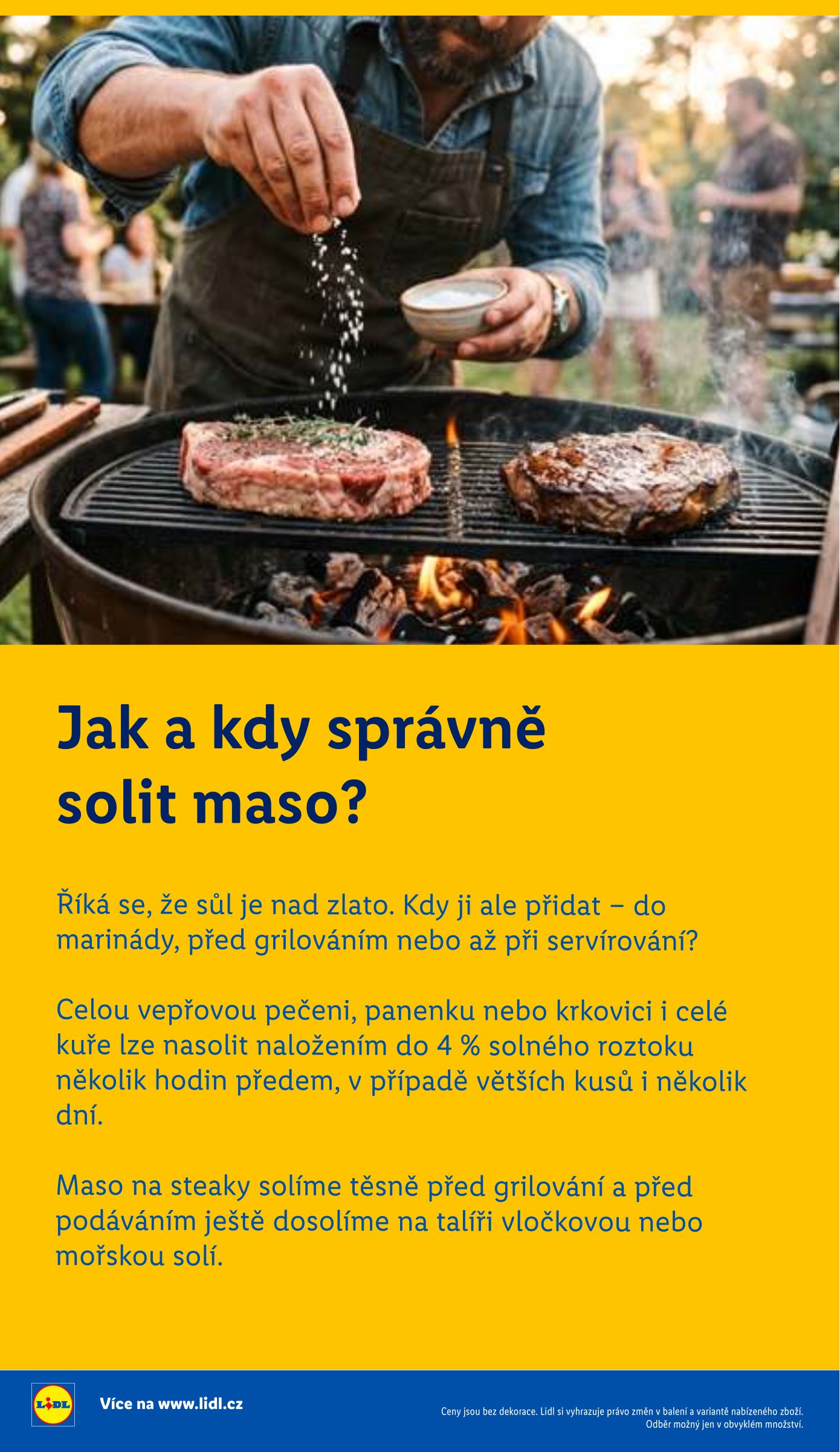 lidl - Aktuální Lidl - Grill & Fun leták platný od úterý 05.05.2026 do pondělí 31.08.2026 - page: 12