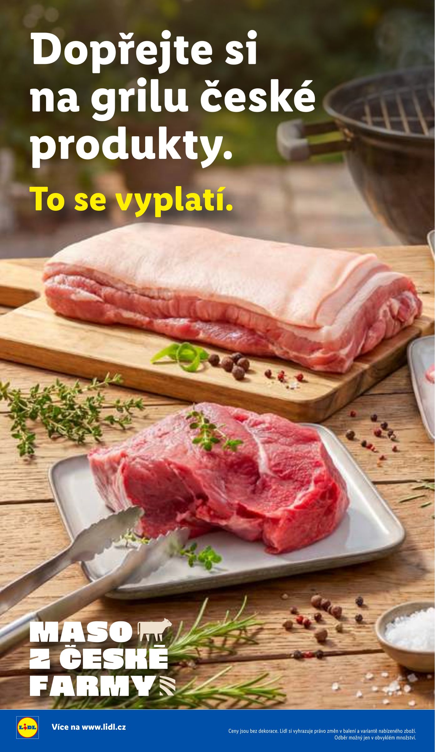 lidl - Aktuální Lidl - Grill & Fun leták platný od úterý 05.05.2026 do pondělí 31.08.2026 - page: 8