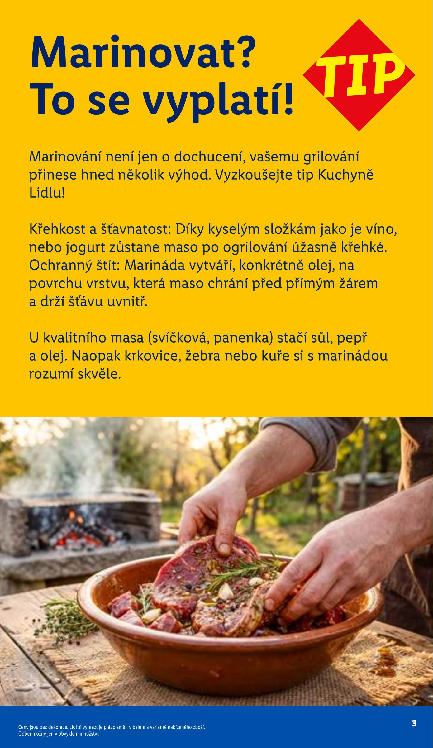 lidl - Aktuální Lidl - Grill & Fun leták platný od úterý 05.05.2026 do pondělí 31.08.2026 - page: 3
