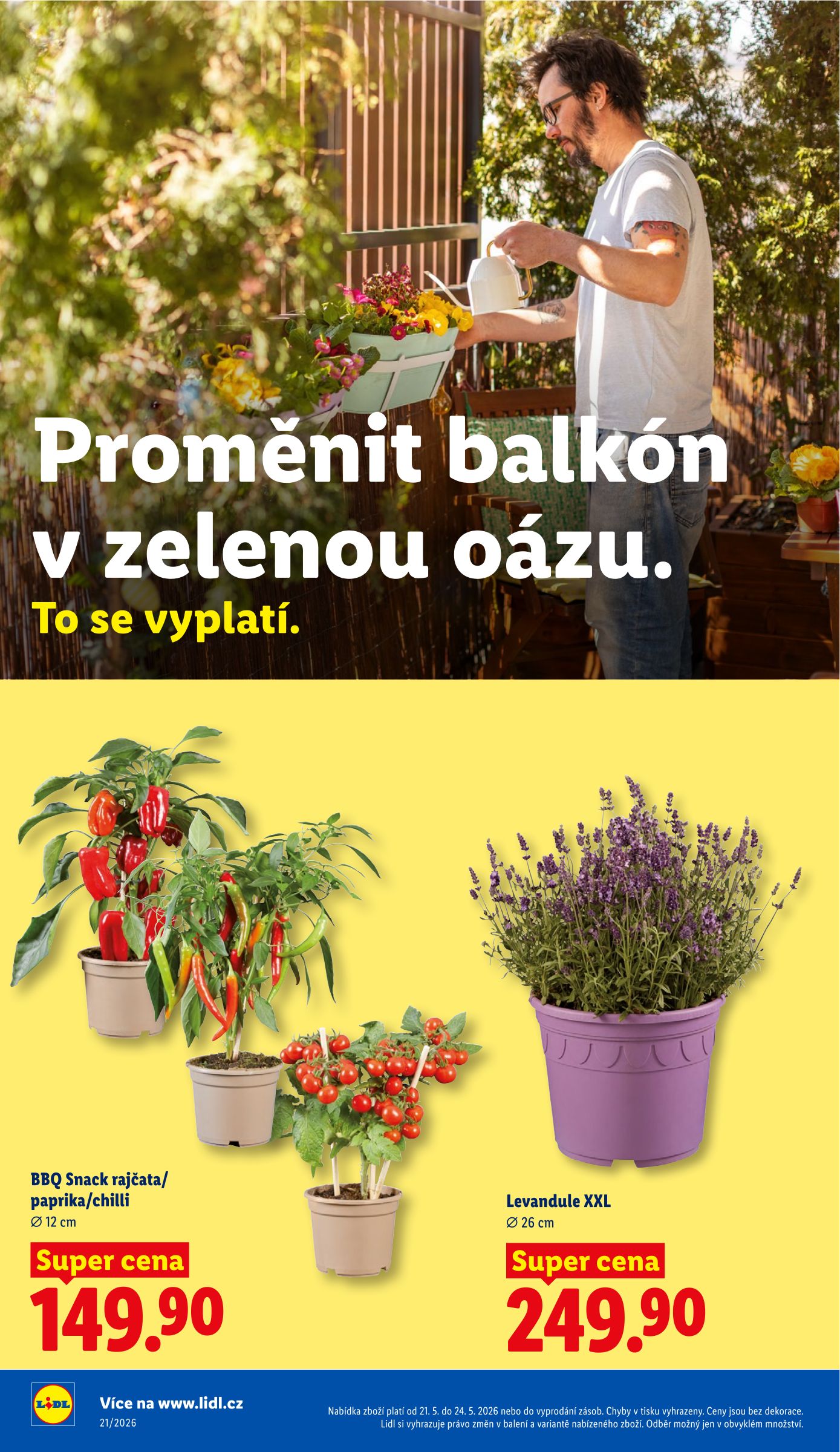lidl - Lidl leták na příští týden od čtvrtka 21.05.2026 do neděle 24.05.2026 - page: 34