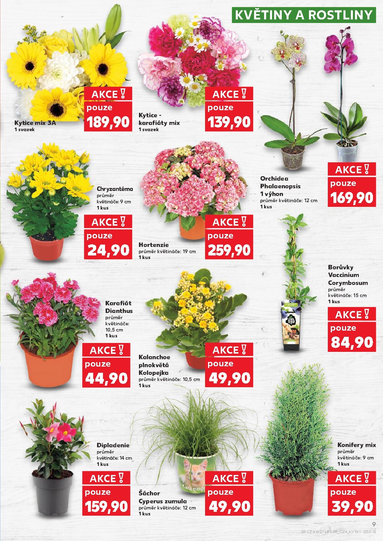 kaufland - Budoucí Kaufland - Ostrava leták platný od středy 20.05.2026 do úterý 26.05.2026 - page: 9