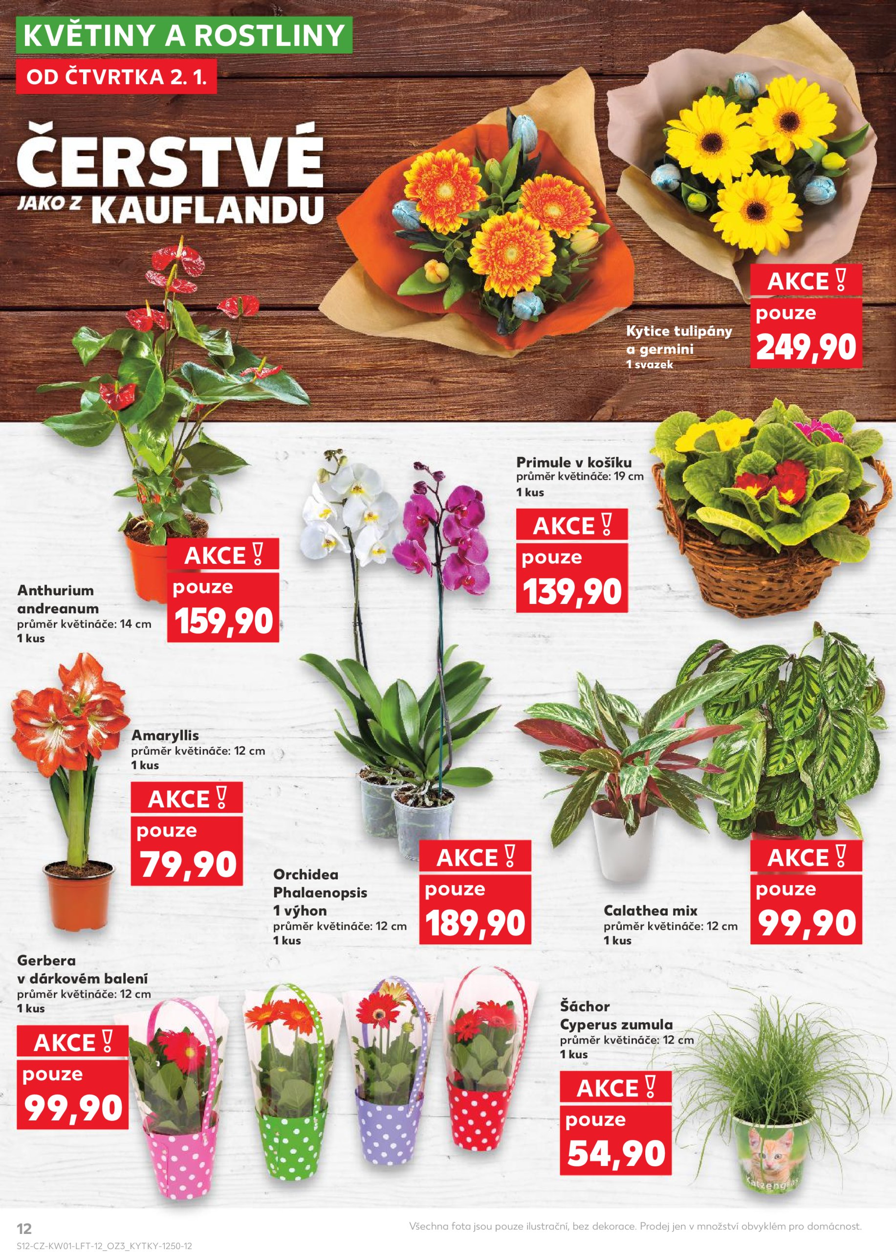 kaufland - Leták Kaufland od 02.01. do 07.01. - page: 12