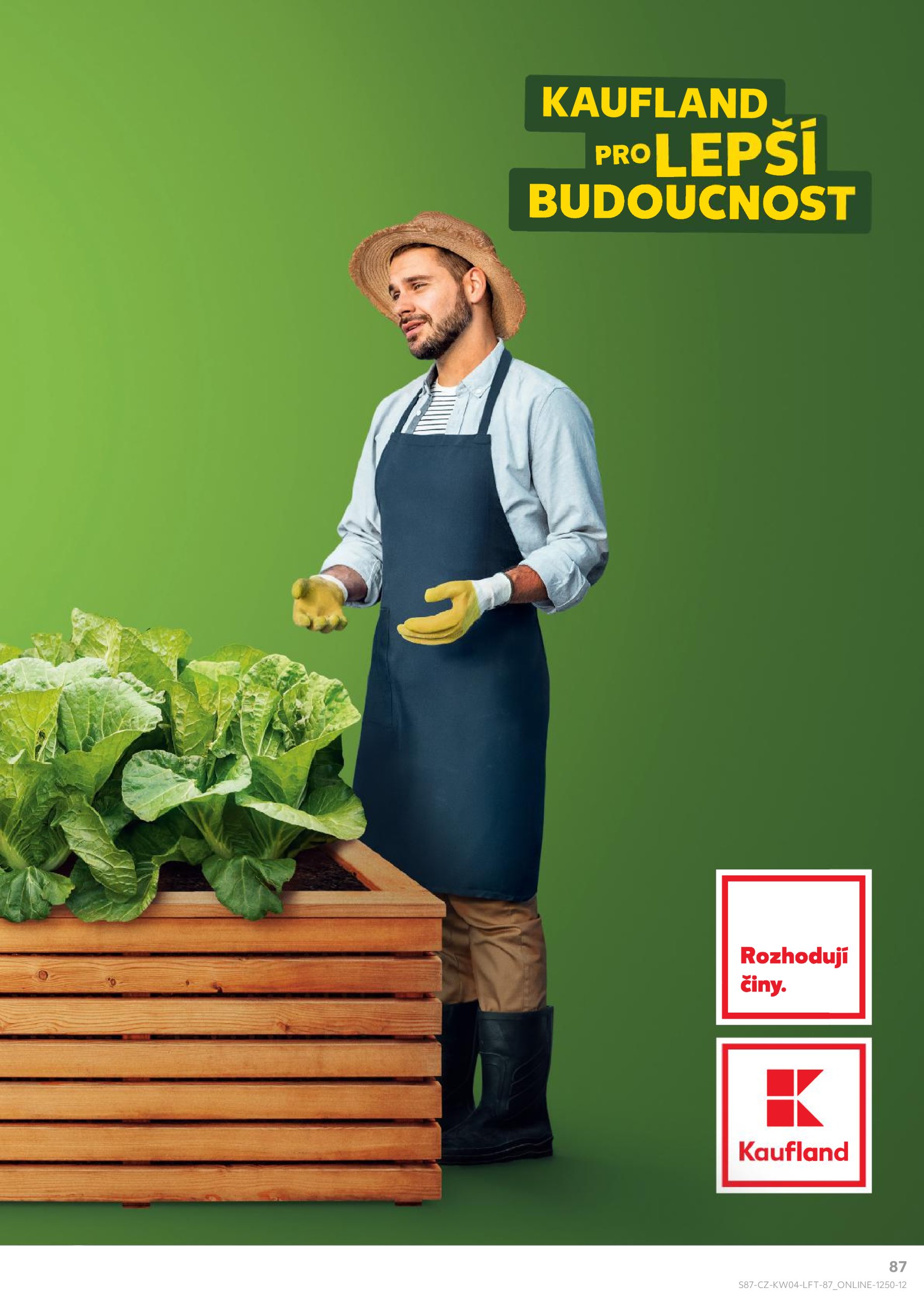 kaufland - Leták Kaufland od 22.01. do 28.01. - page: 87