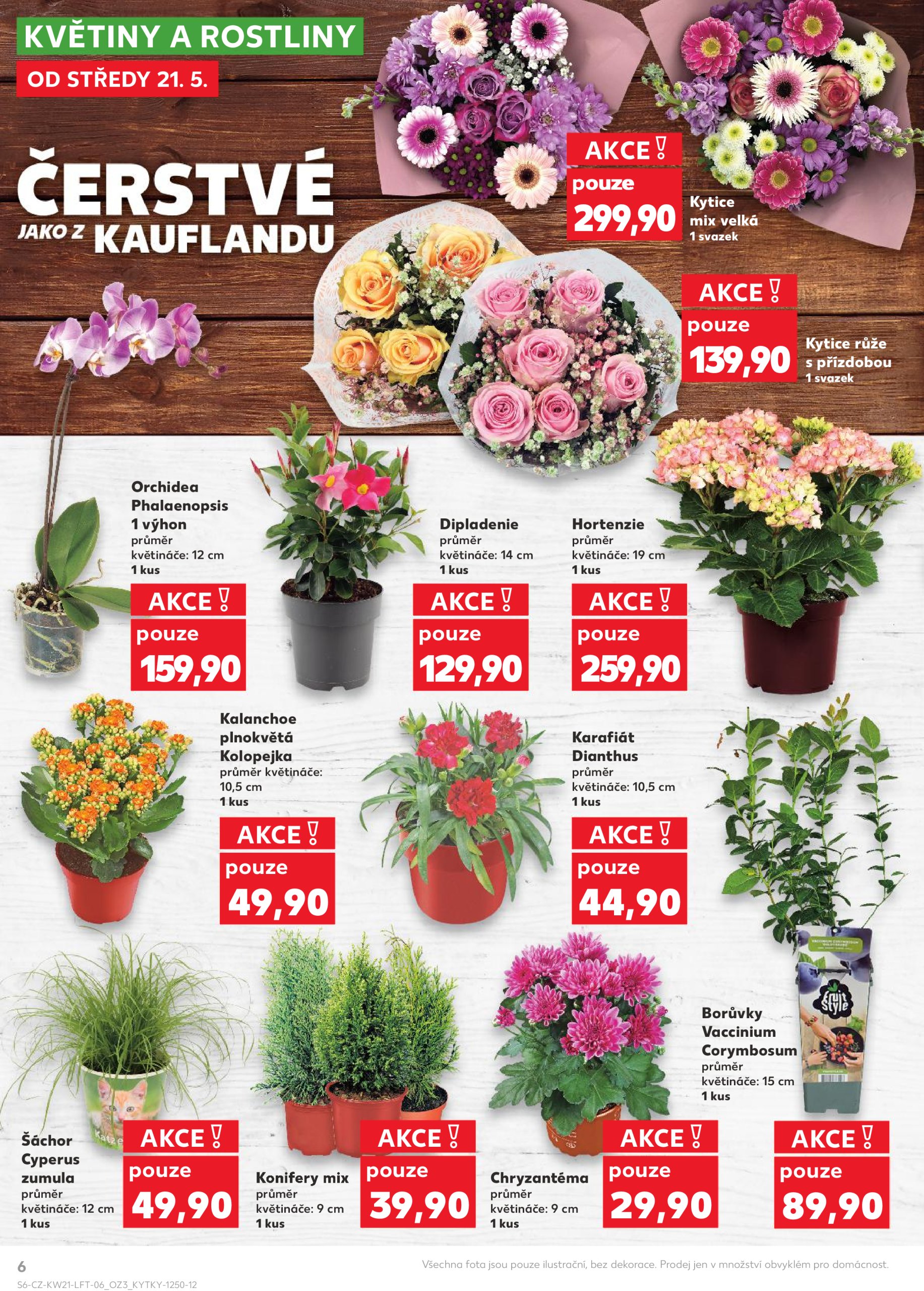 kaufland - Leták Kaufland Kolín od 21.05. do 27.05. - page: 6 kaufland - Leták Kaufland Kolín od 21.05. do 27.05. - page: 6