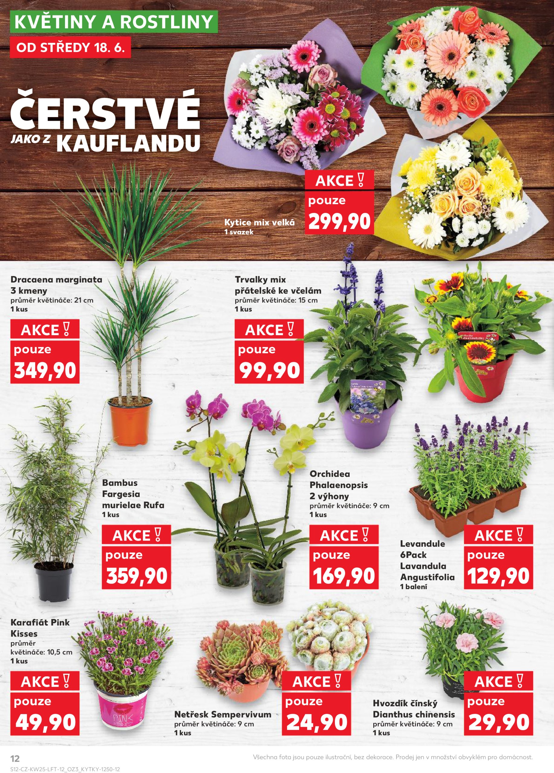 kaufland - Leták Kaufland Kolín od 18.06. do 24.06. - page: 12