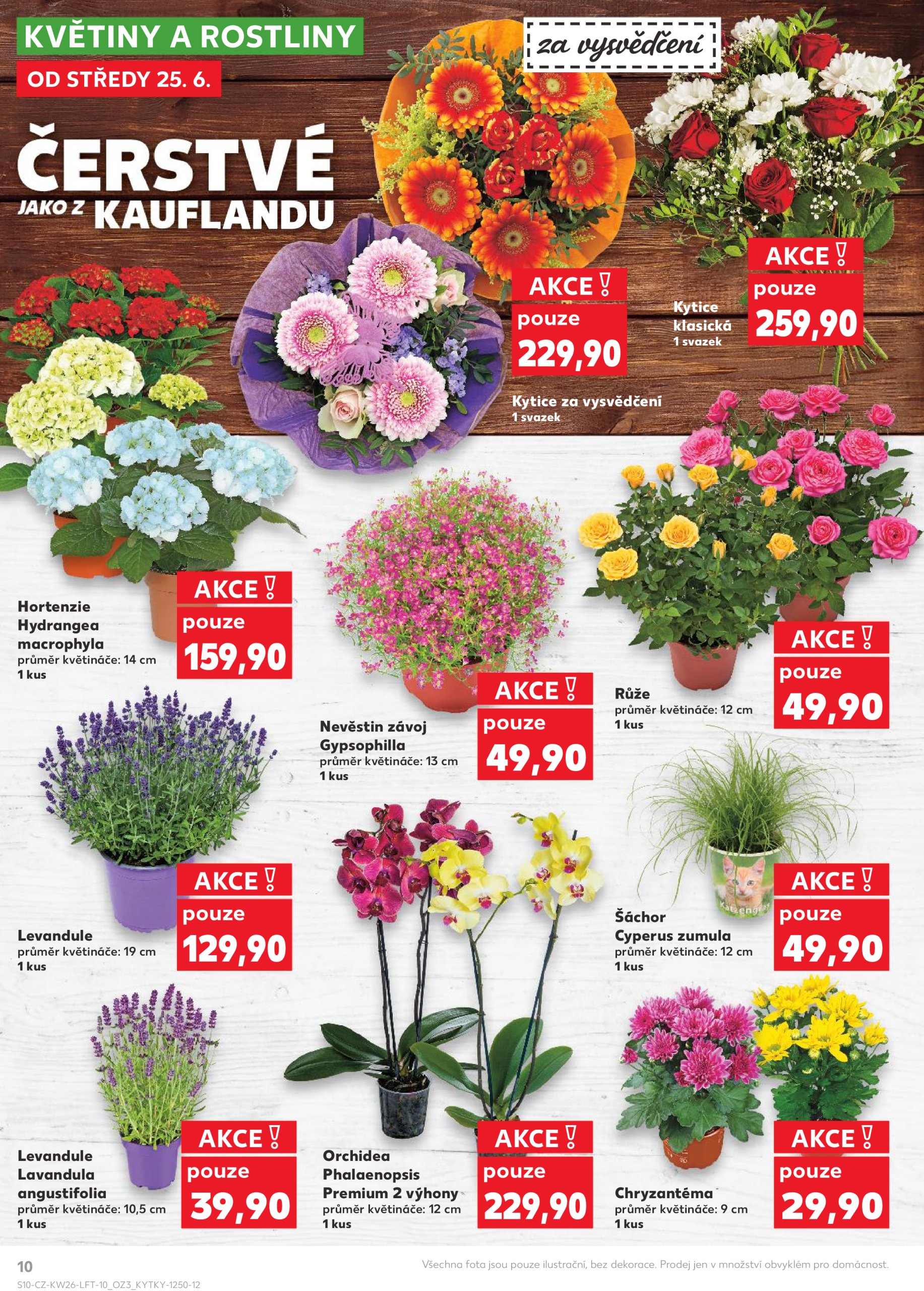 kaufland - Leták Kaufland Ostrava od 25.06. do 01.07. - page: 10