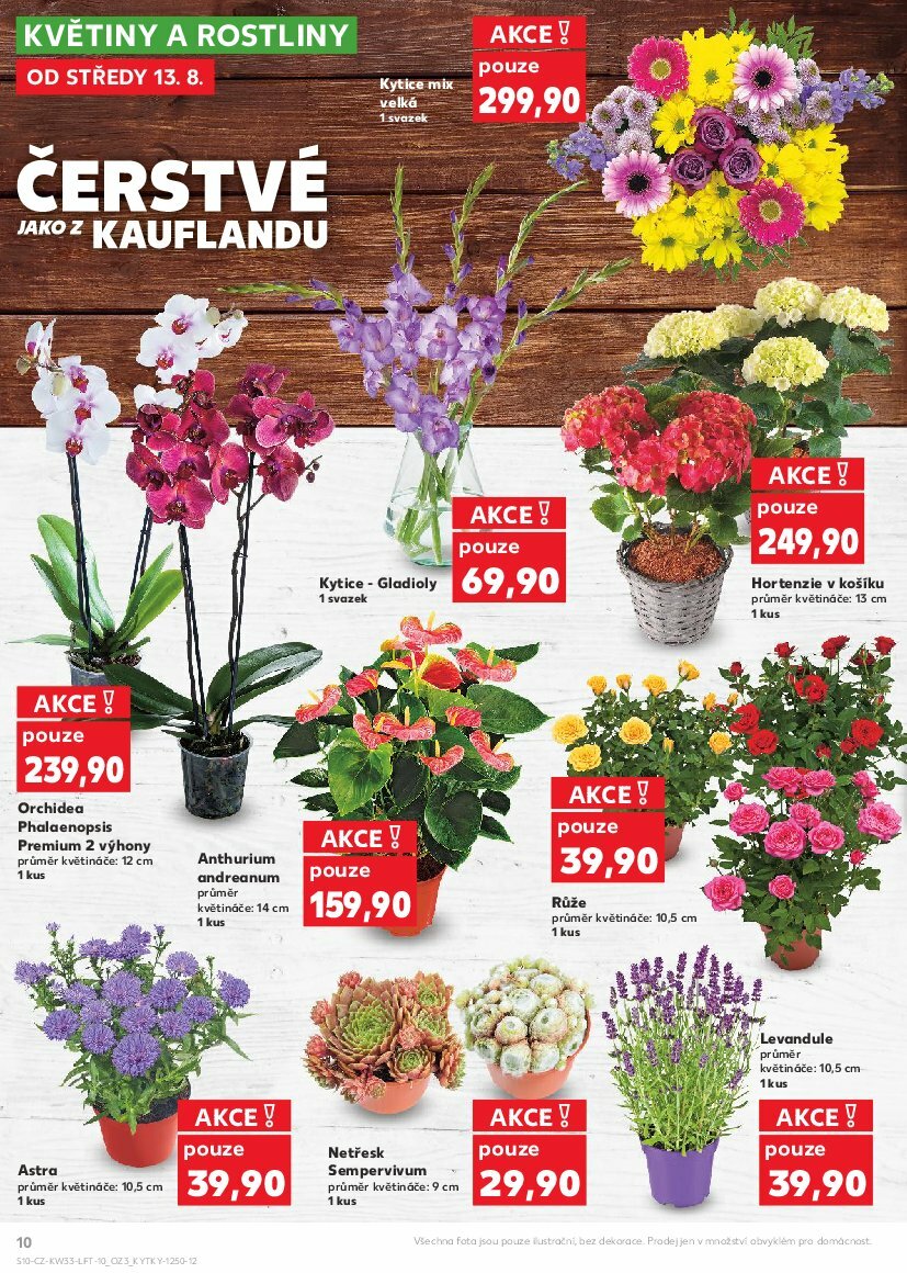 kaufland - Leták Kaufland Kolín od 13.08. do 19.08. - page: 10