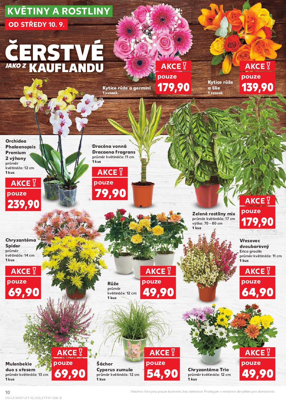 kaufland - Leták Kaufland Kolín od 10.09. do 16.09. - page: 10 kaufland - Leták Kaufland Kolín od 10.09. do 16.09. - page: 10